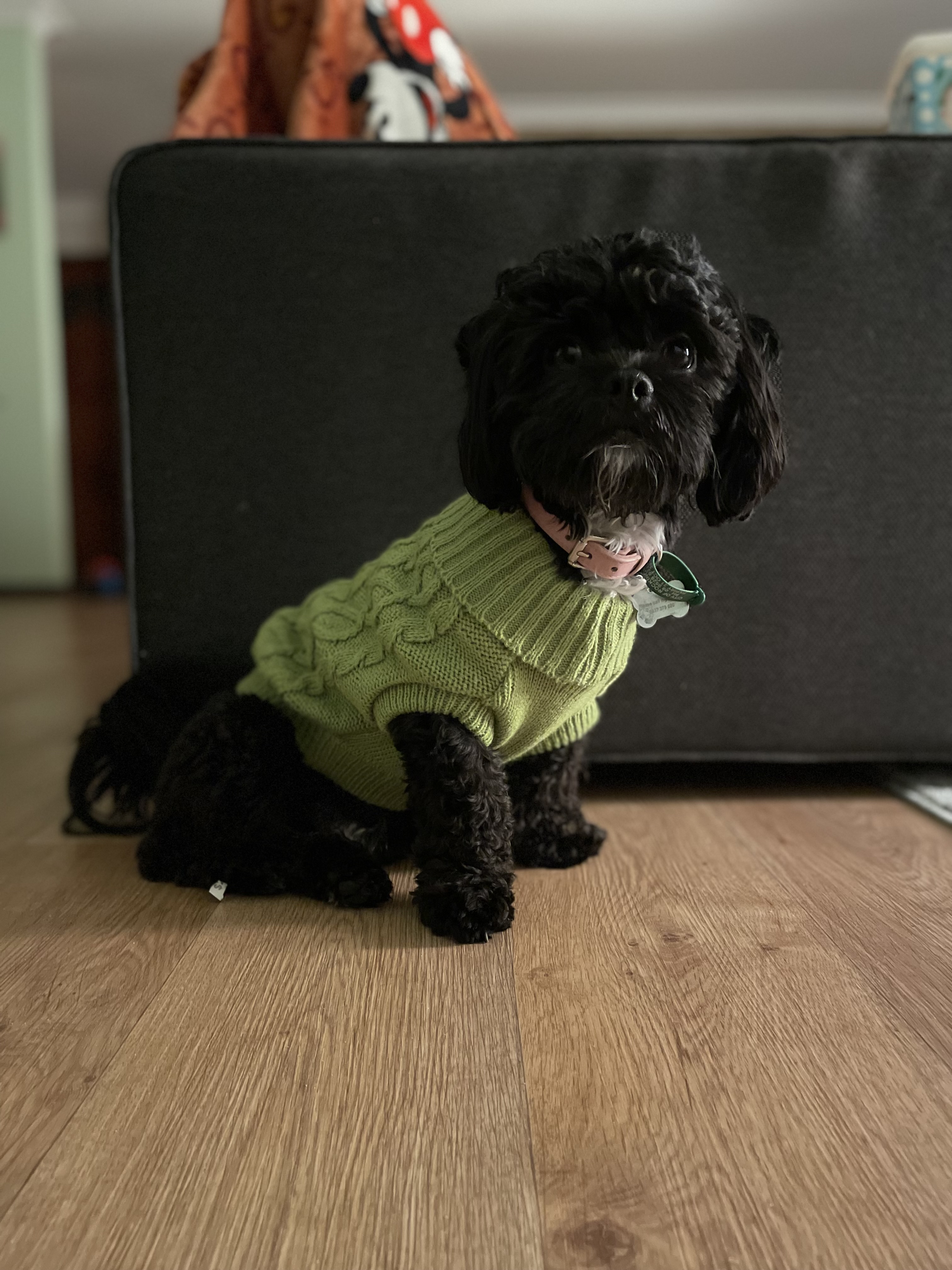 image-6