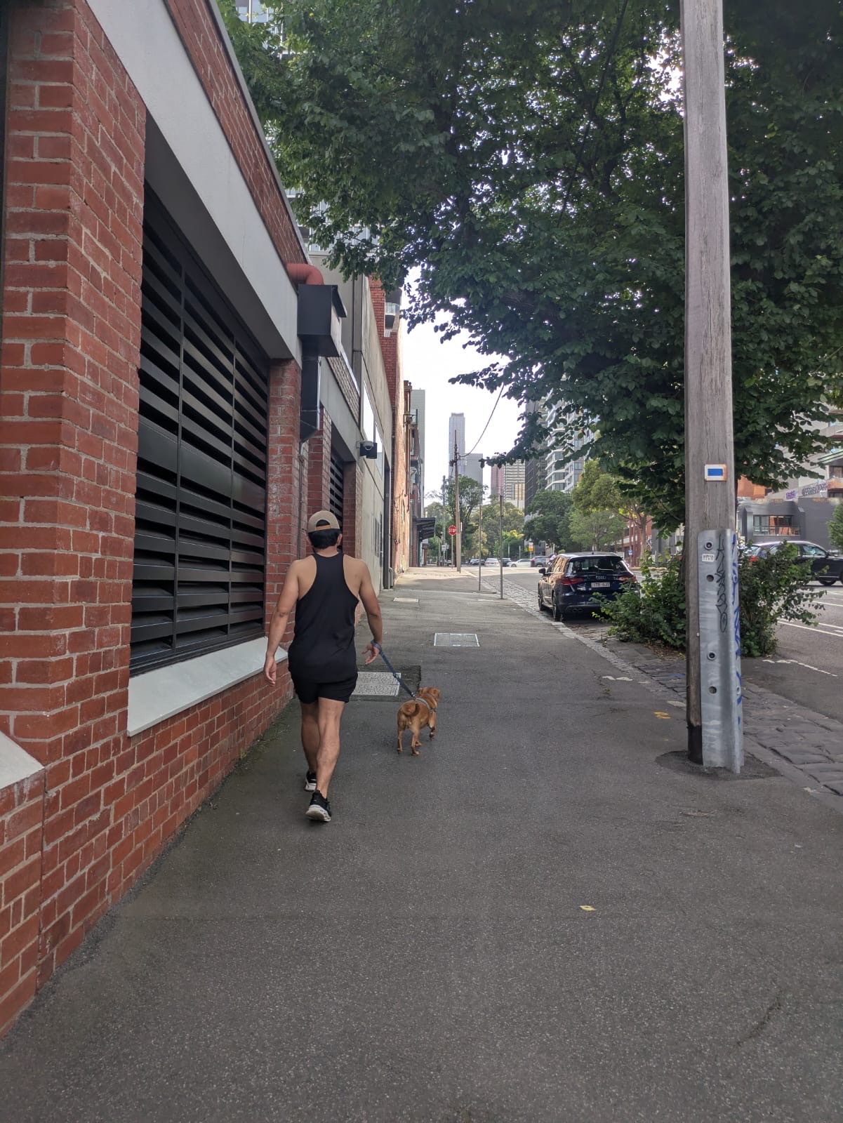 image-21