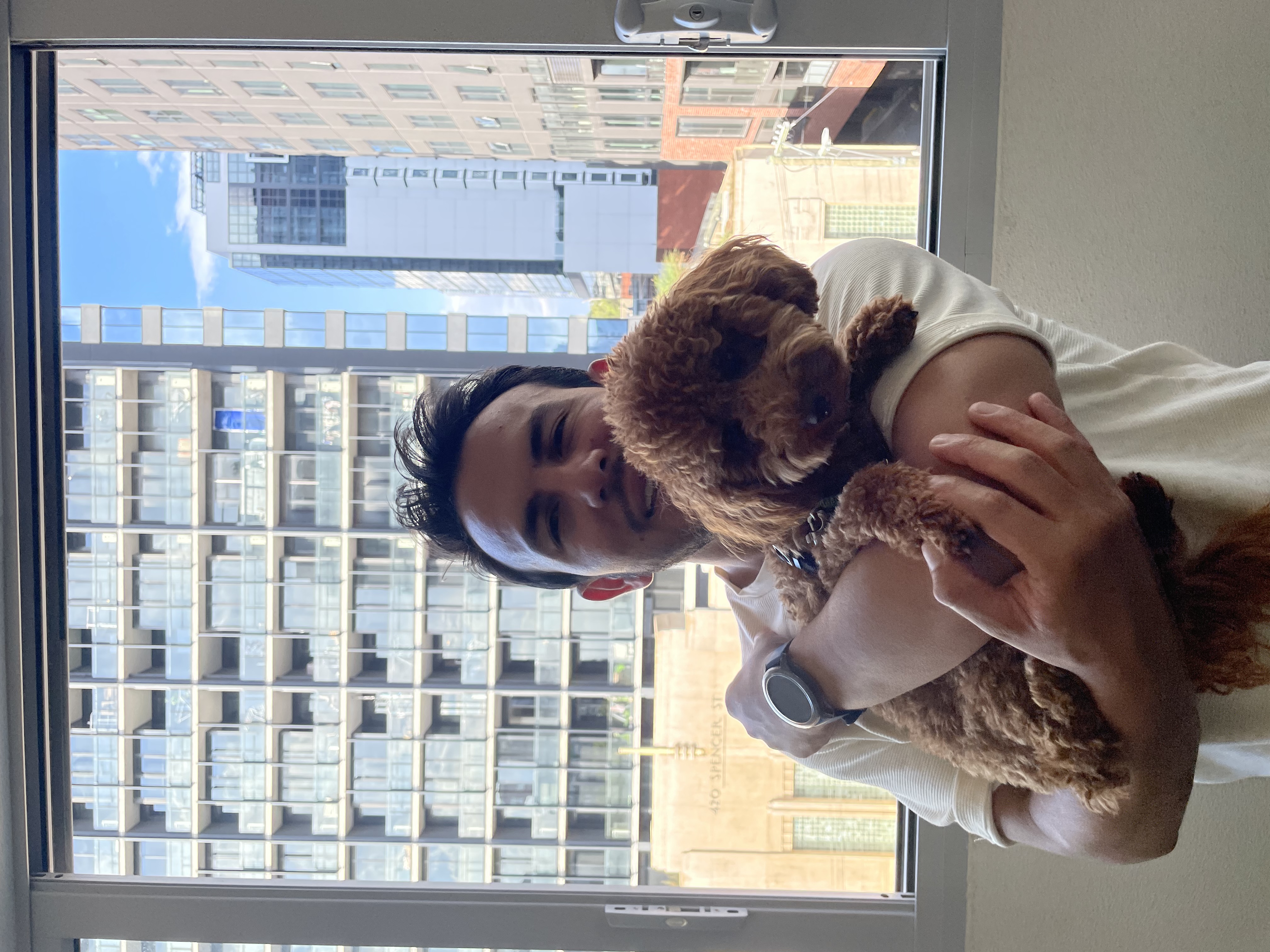 image-6