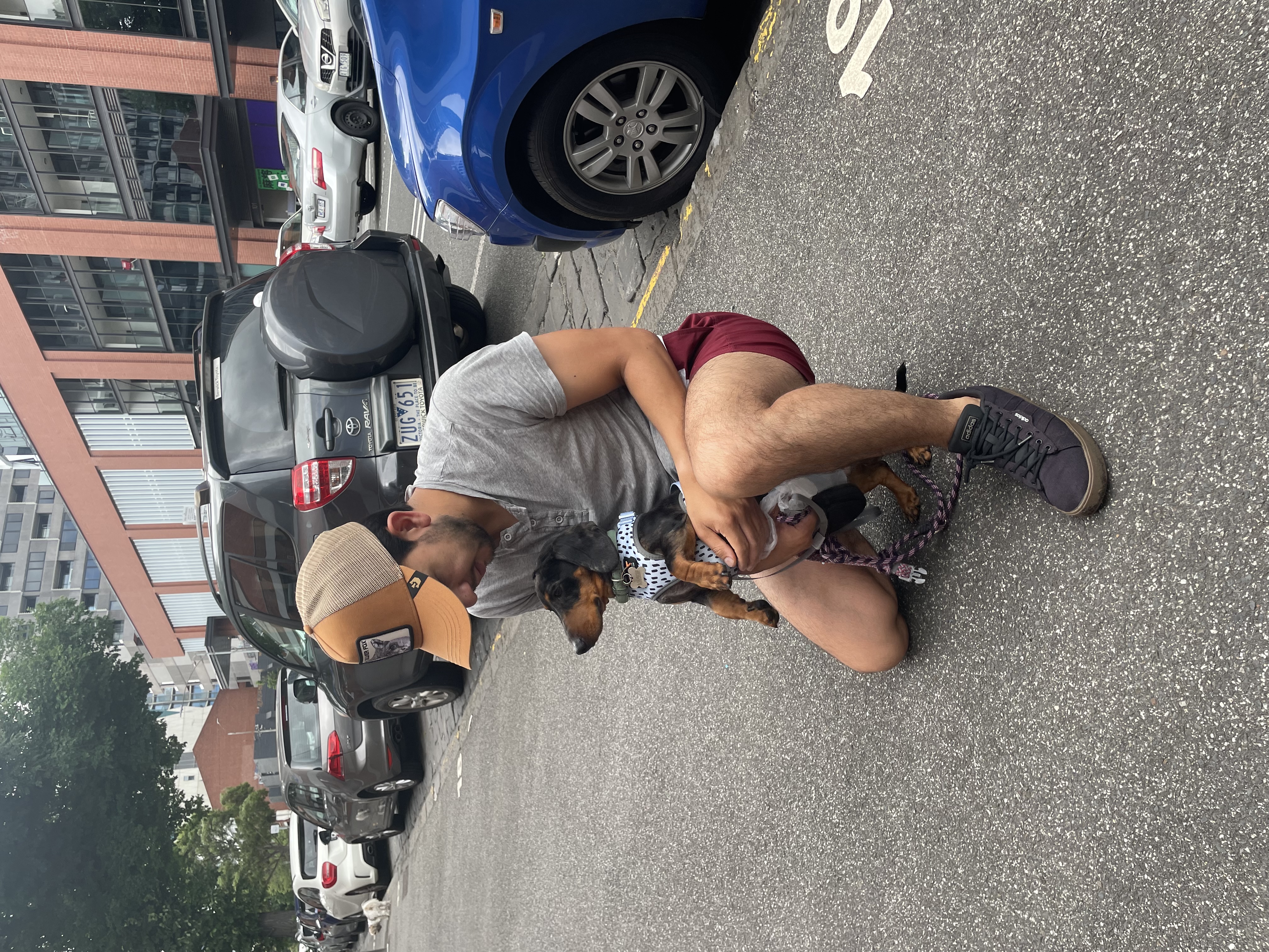 image-25