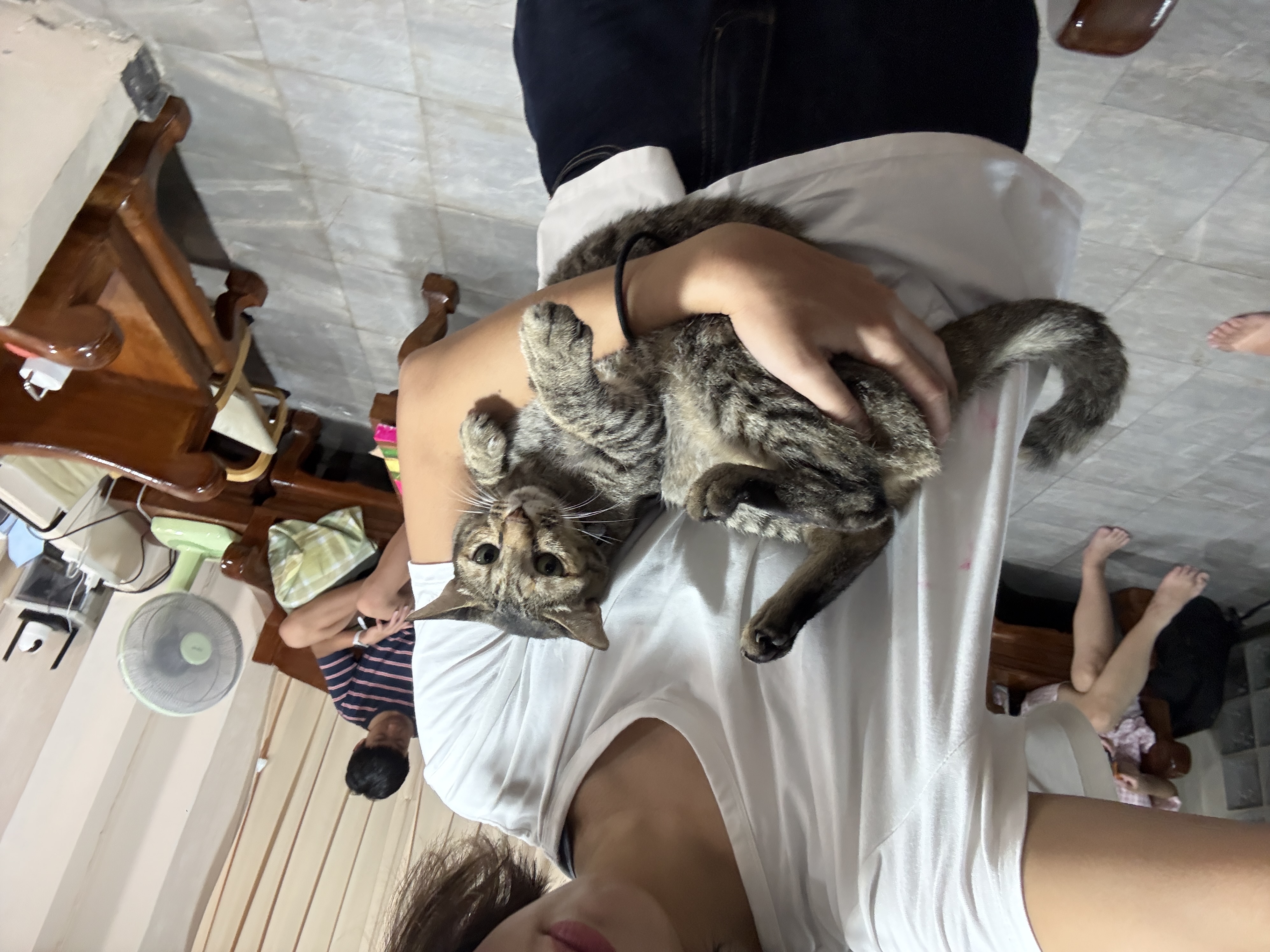 image-9