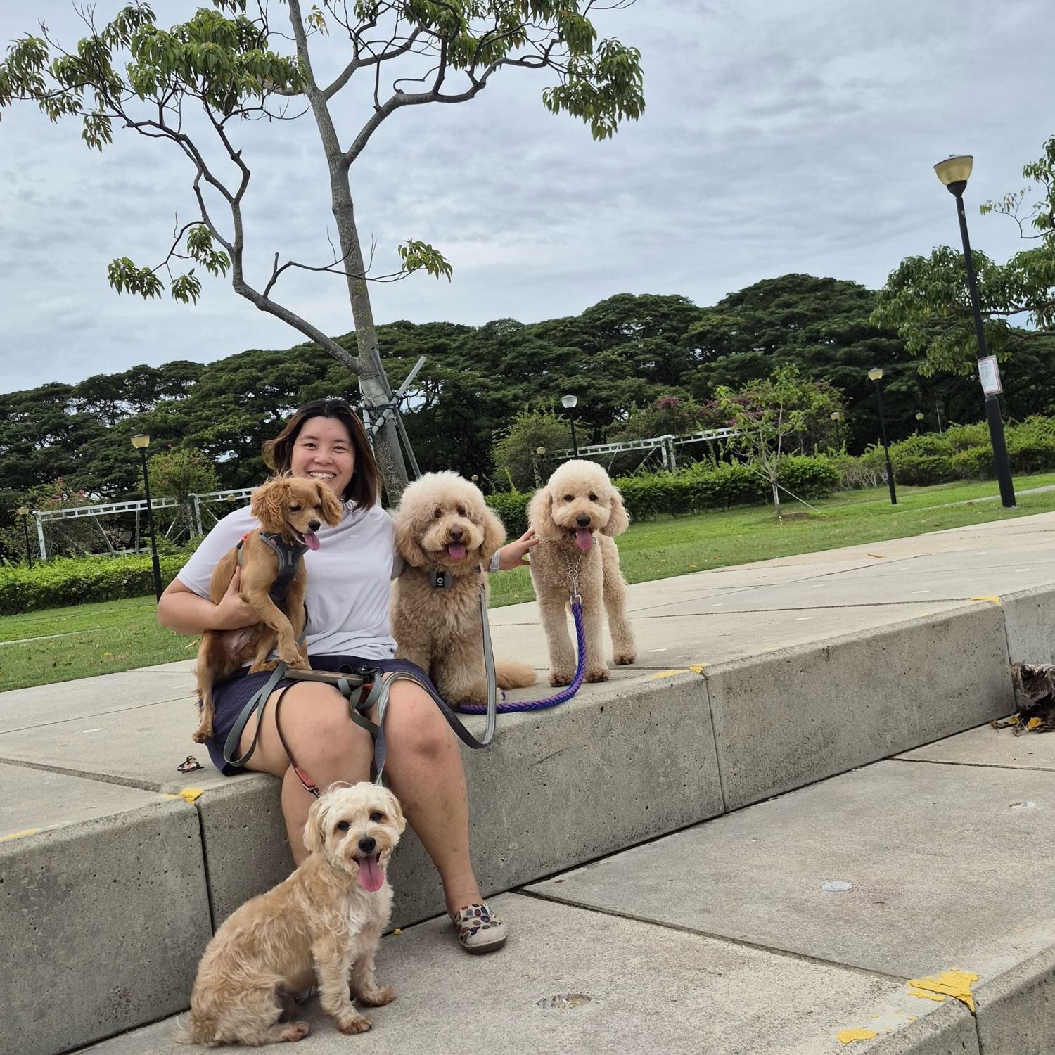 Yuki - Pawmama home boarding