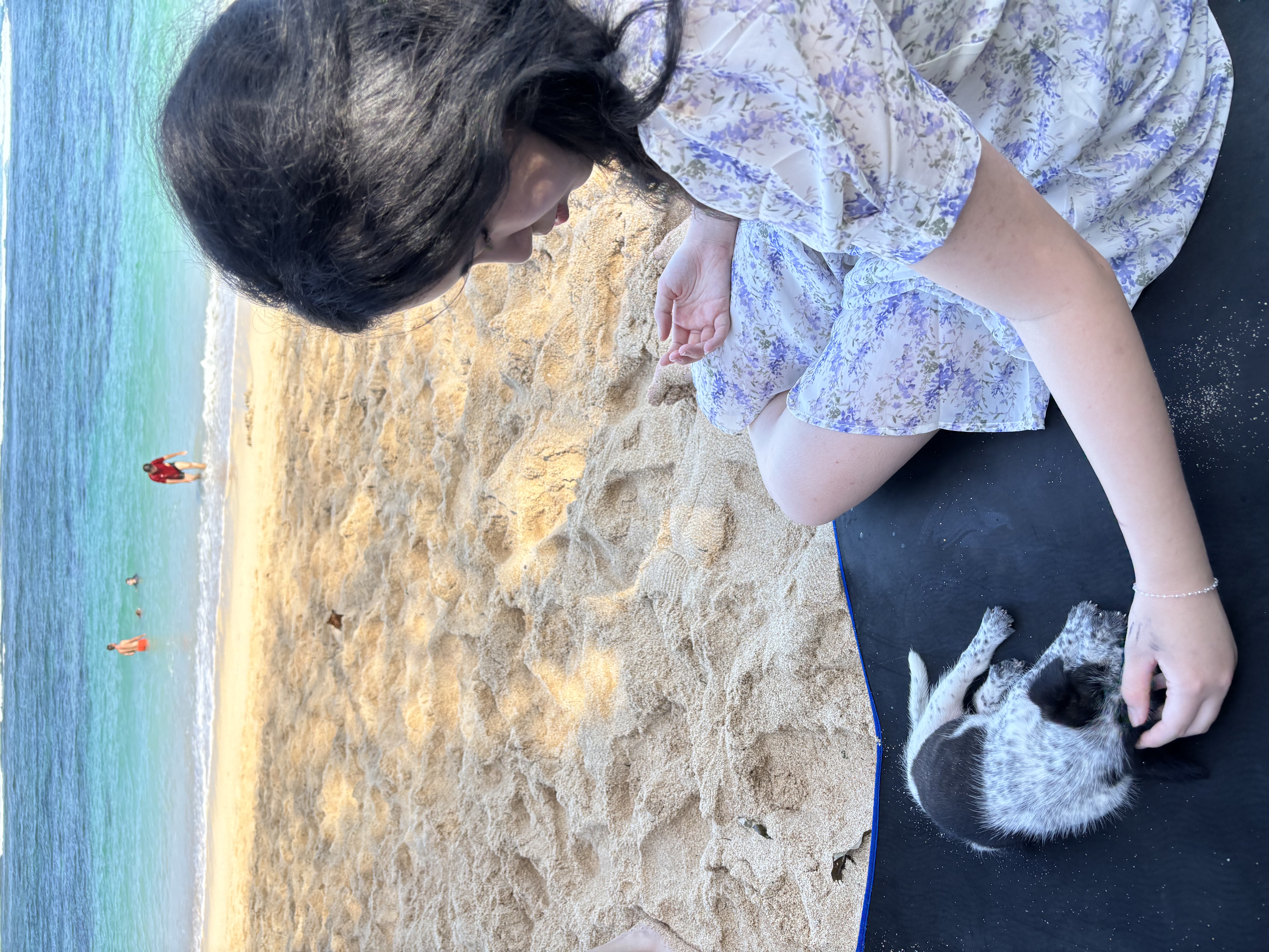 image-7