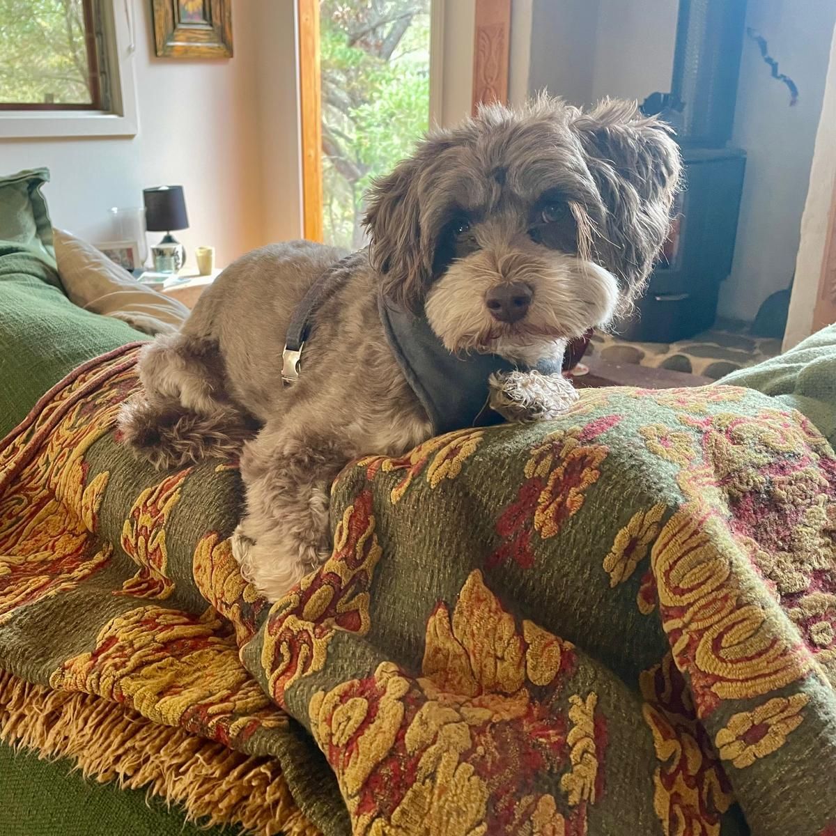 Tucker