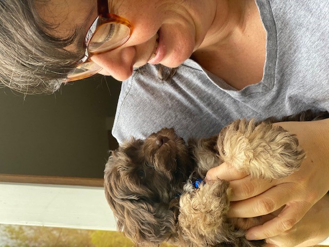image-0