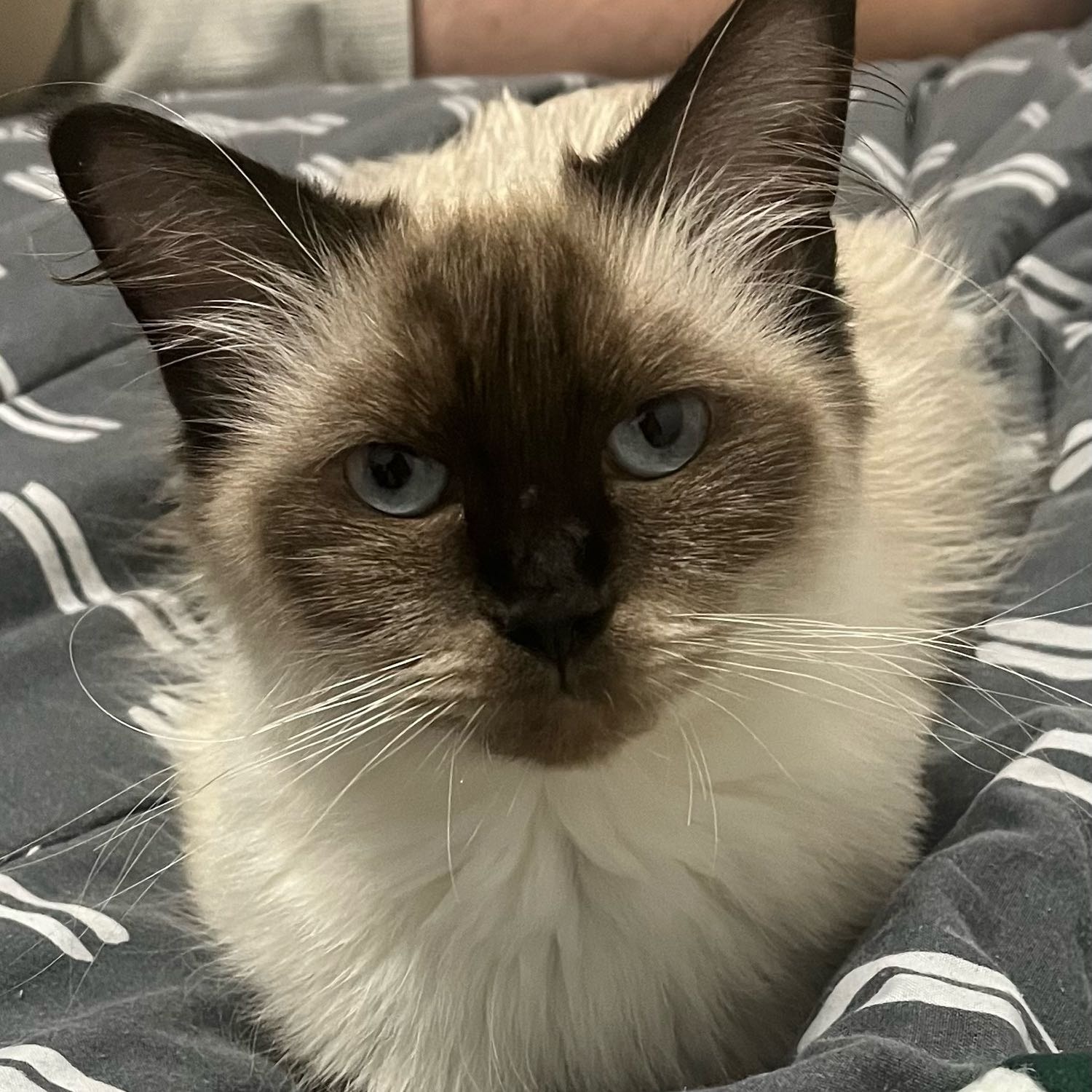 Luna