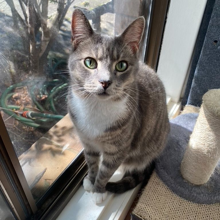 Binx