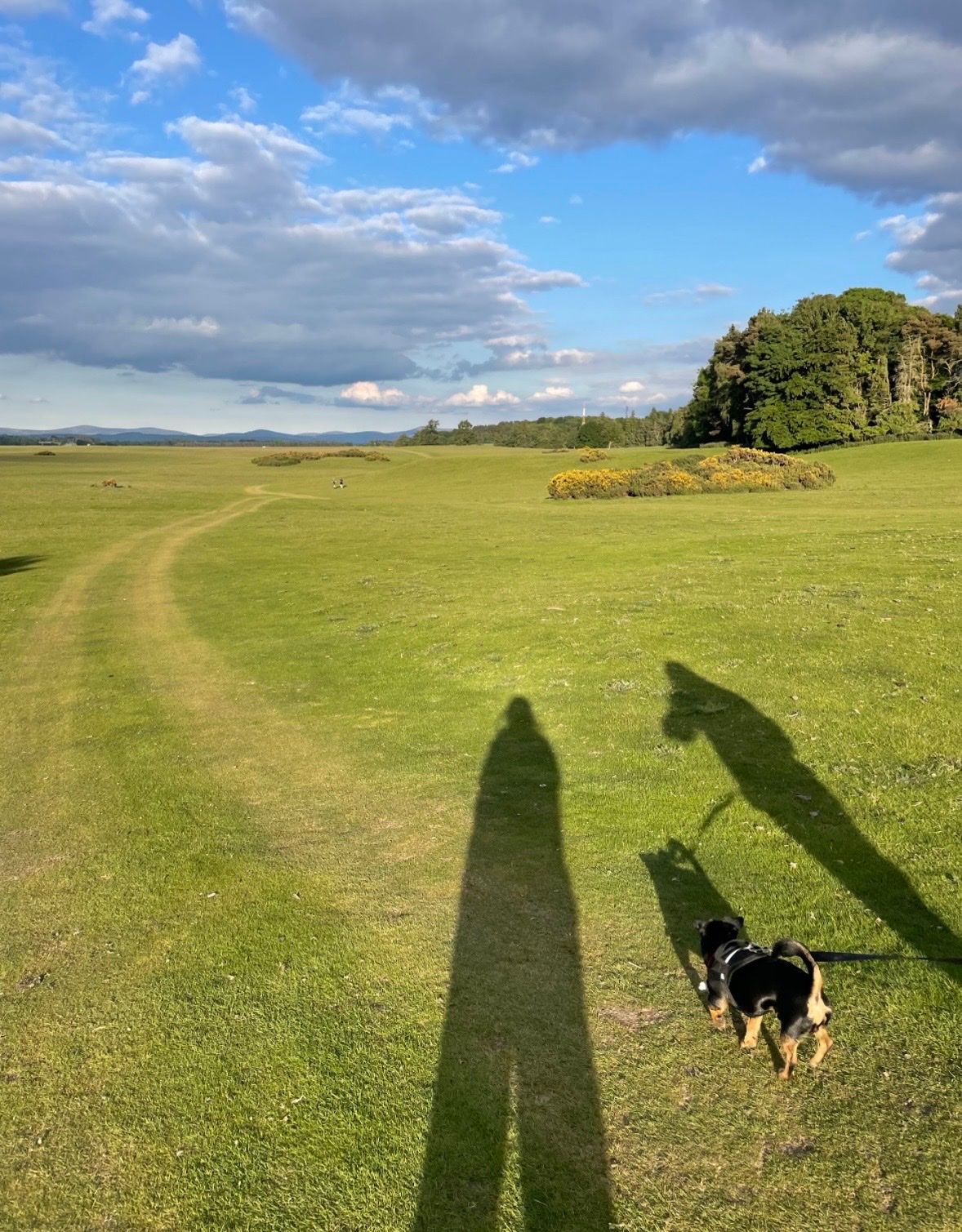 image-4