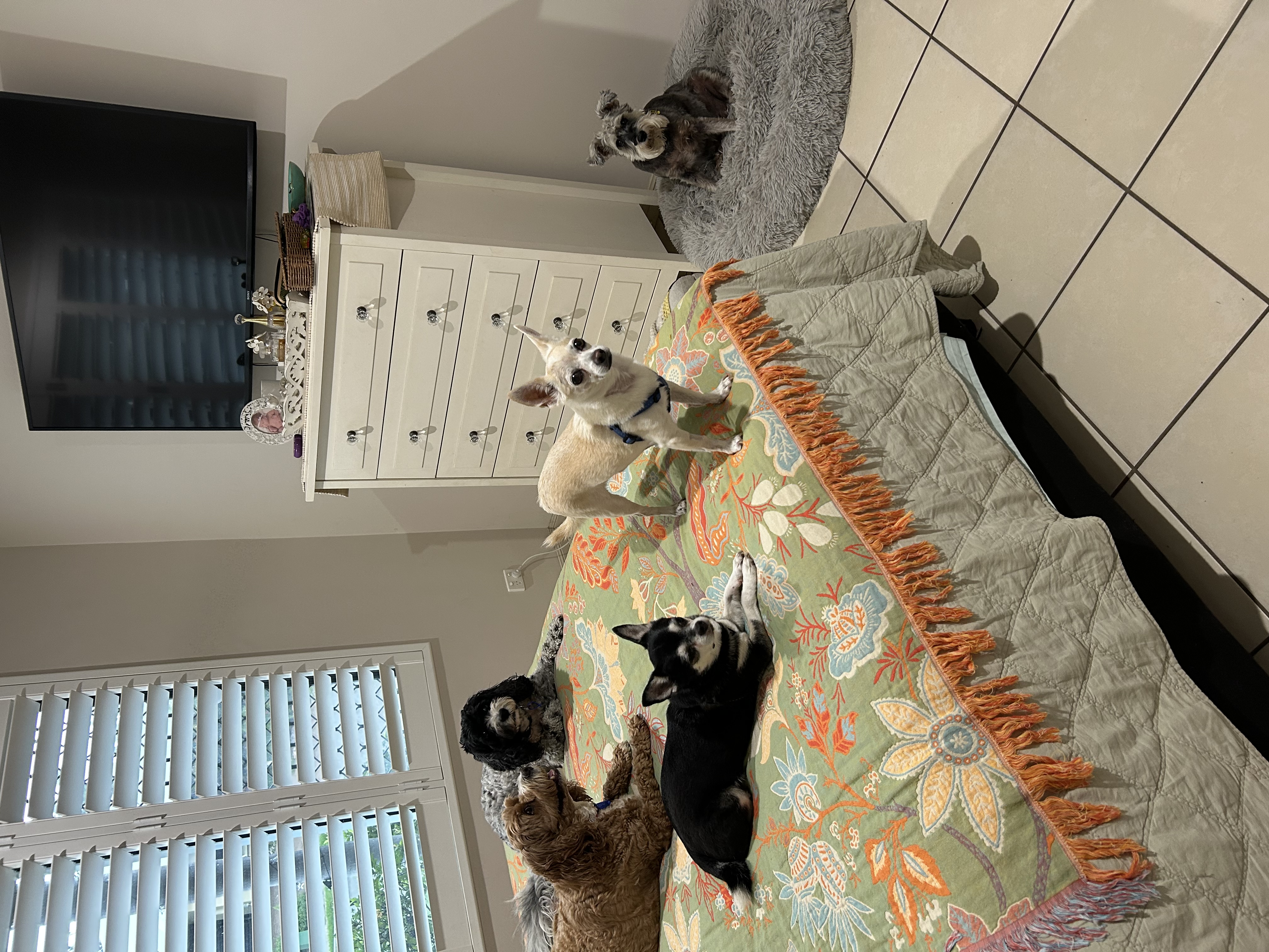 image-14