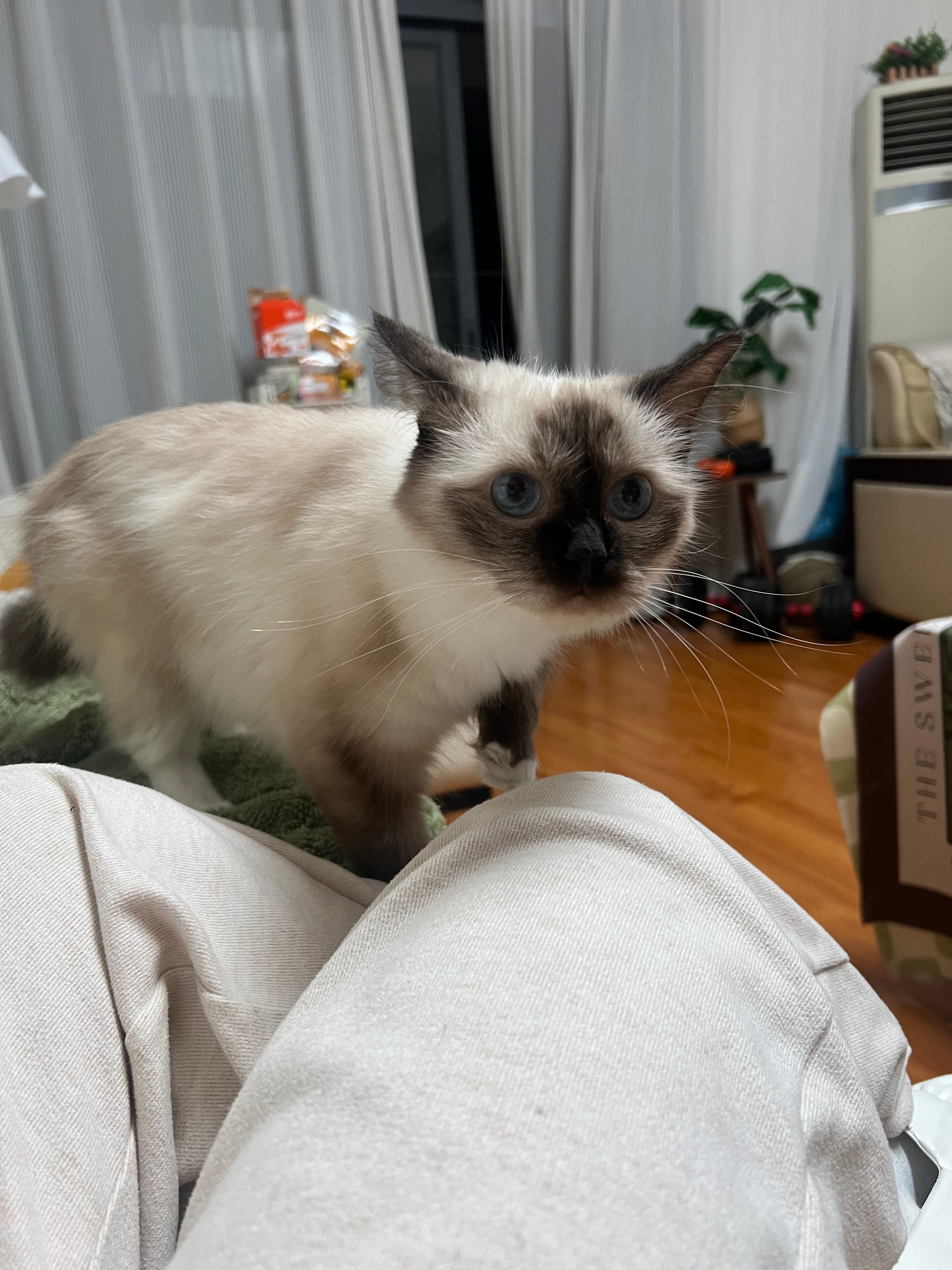 image-7