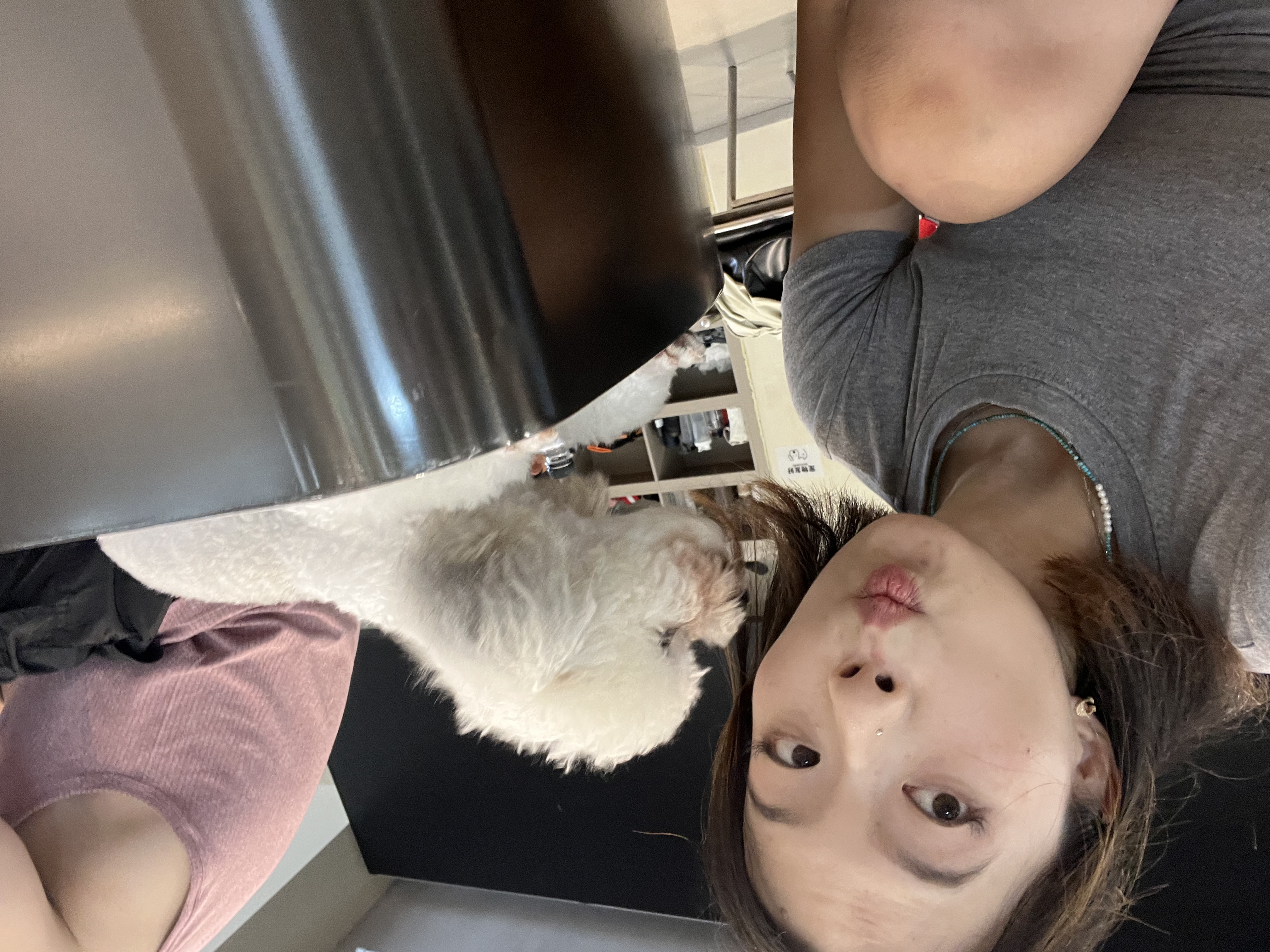 image-17