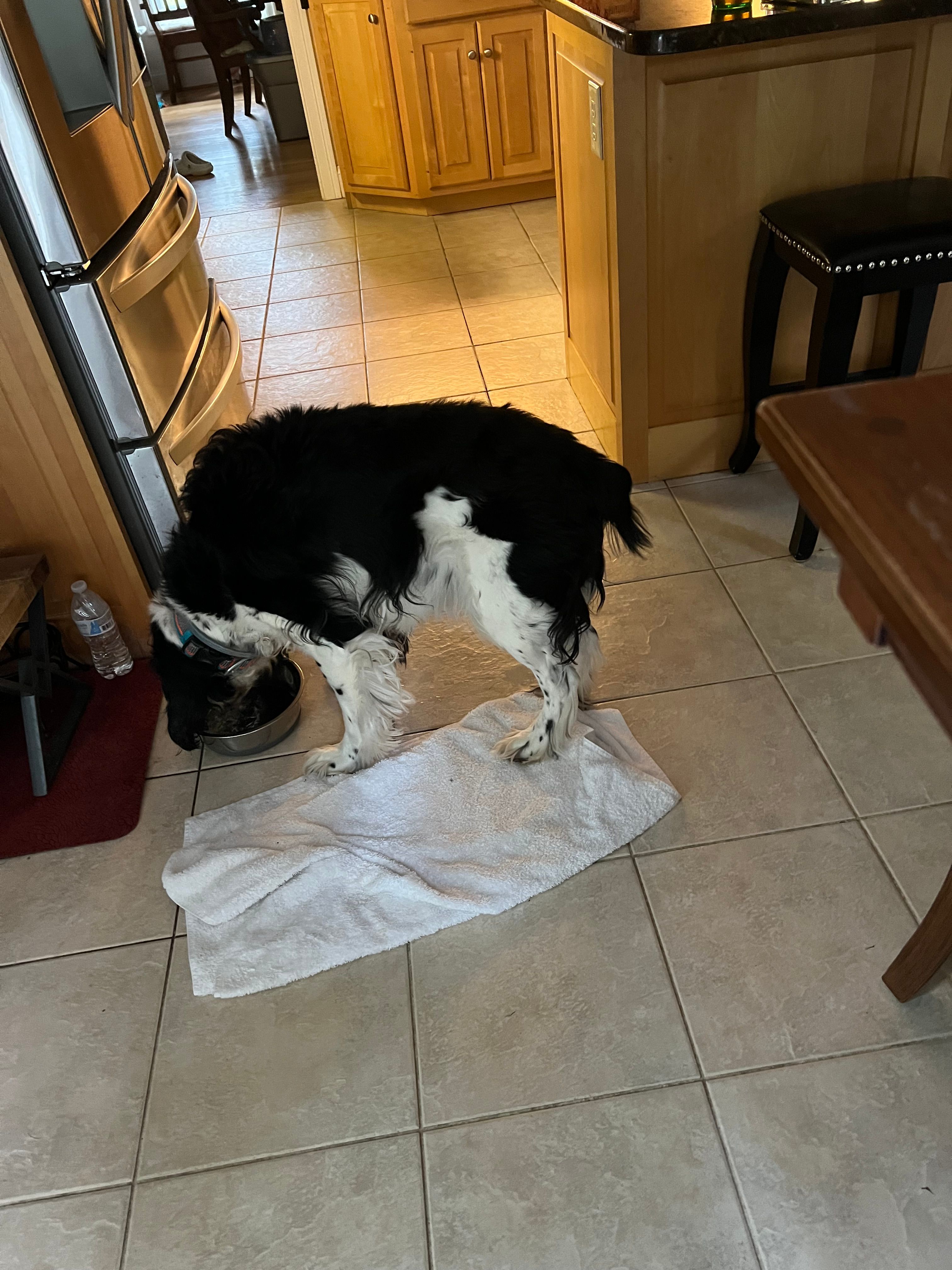 image-14