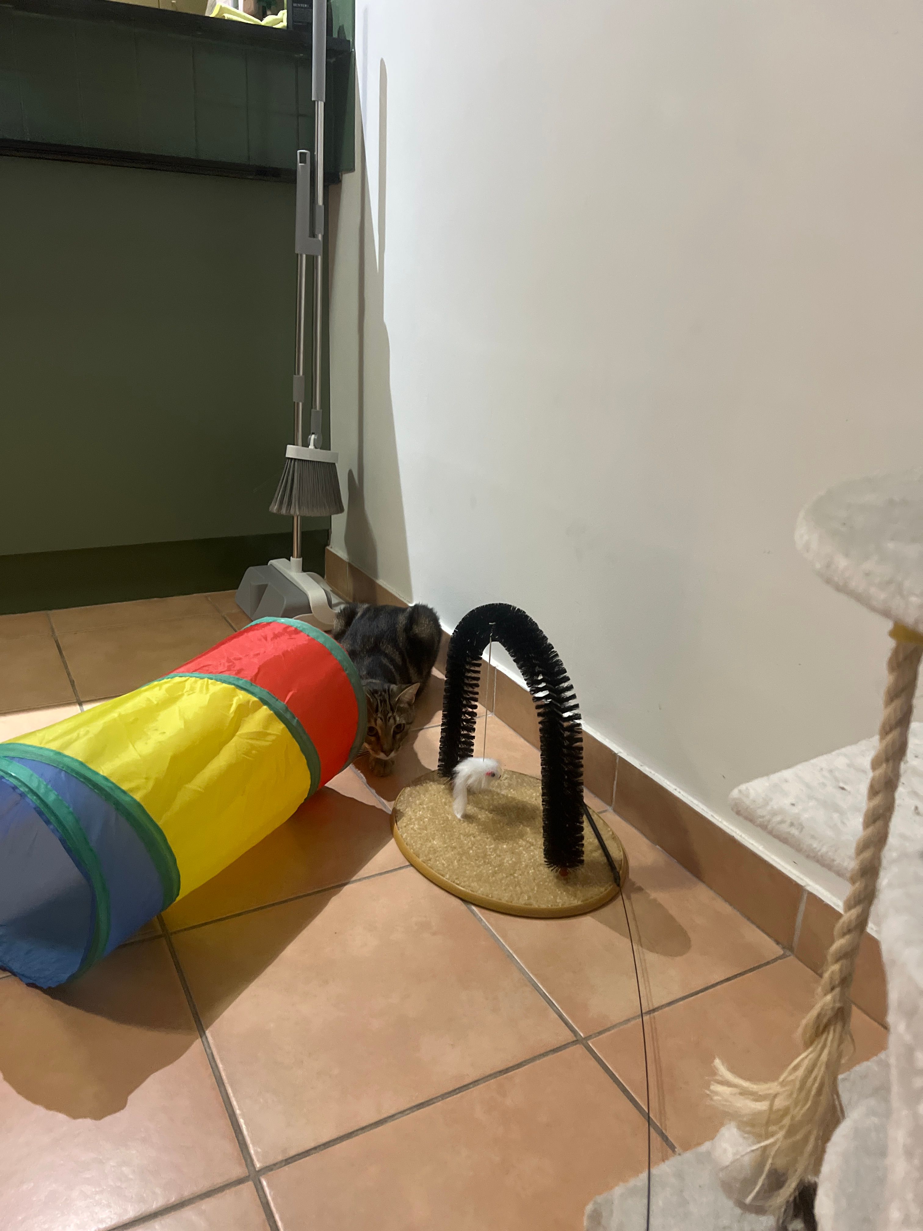 image-15