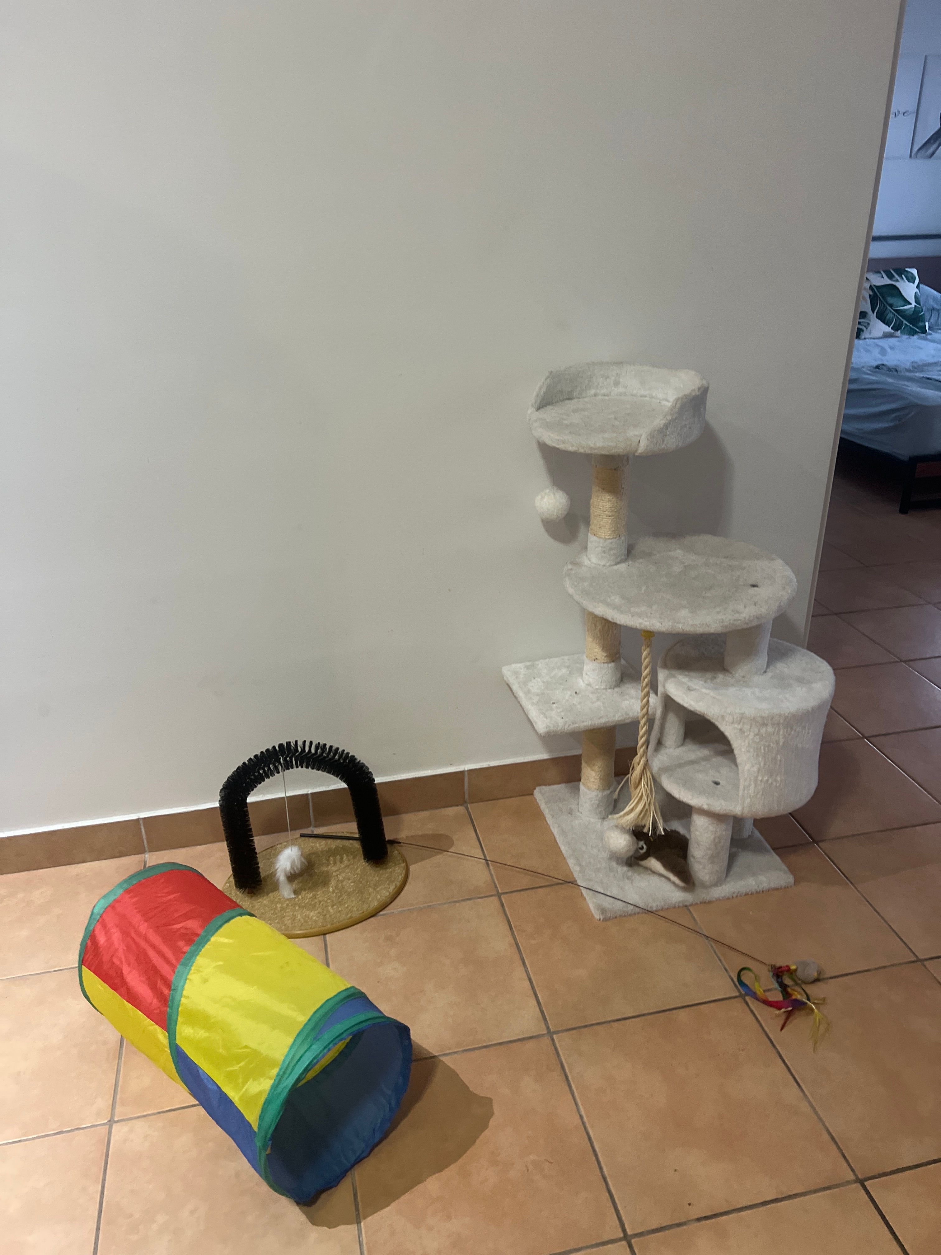 image-11