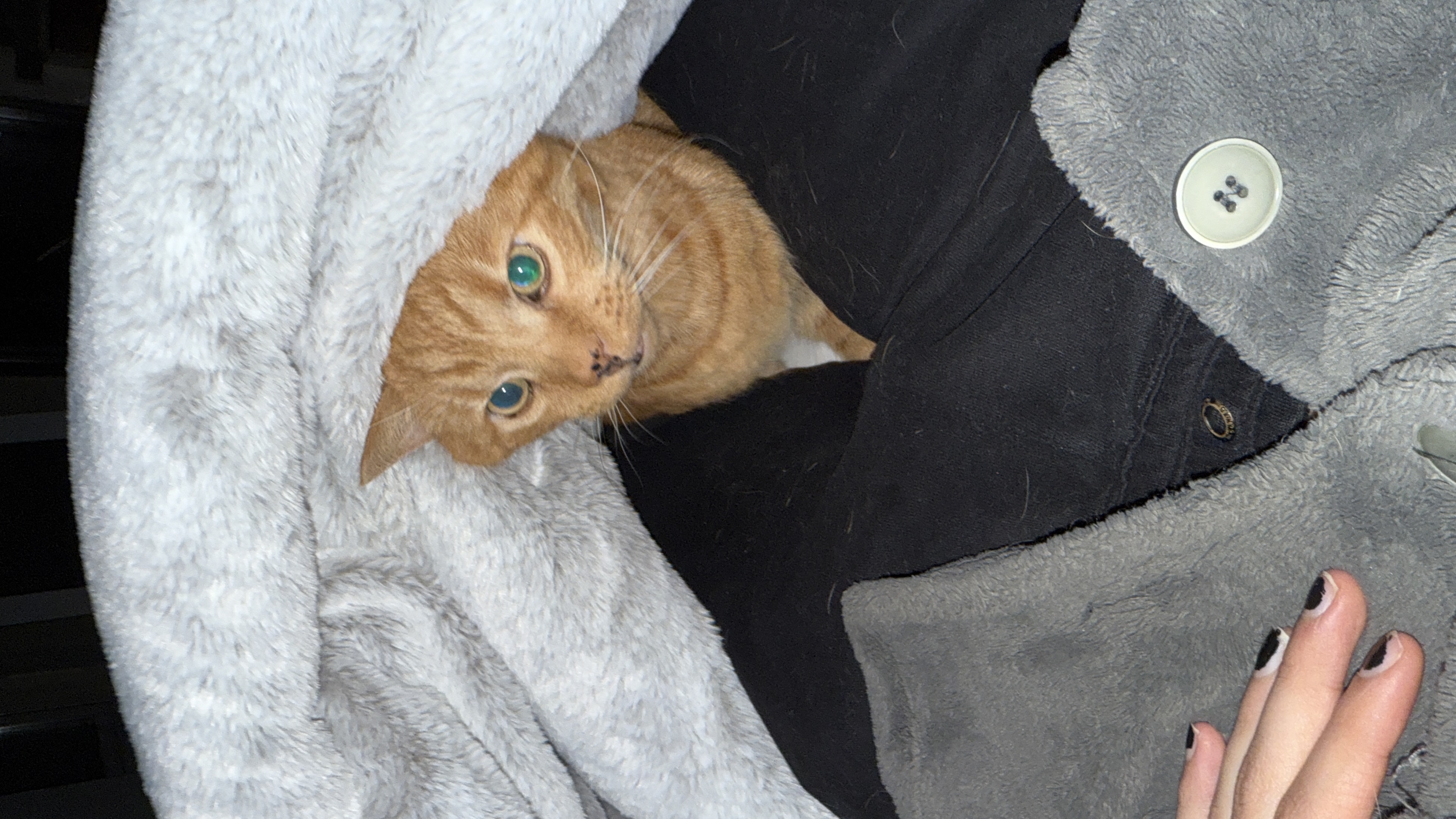 image-8