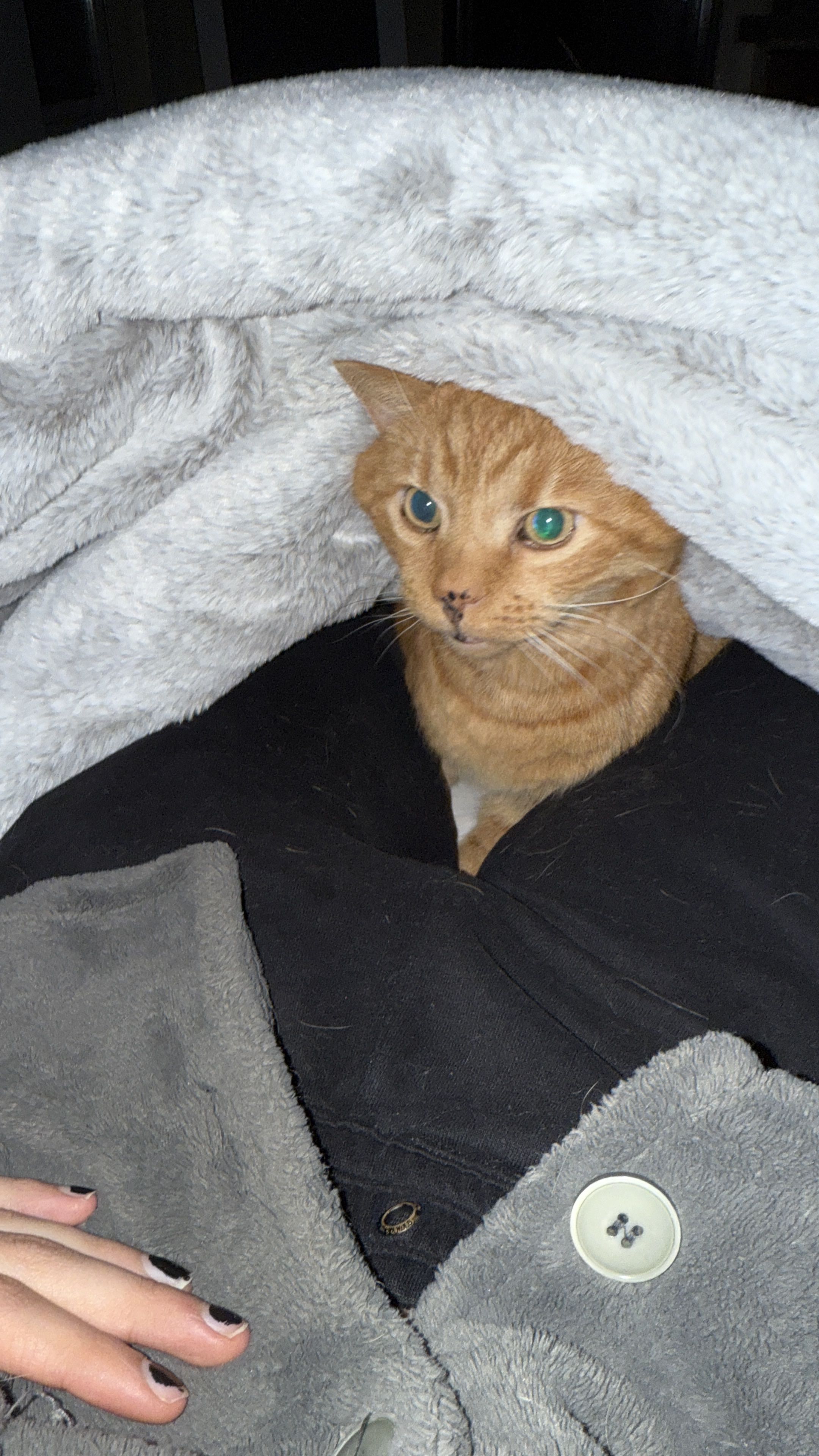 image-8