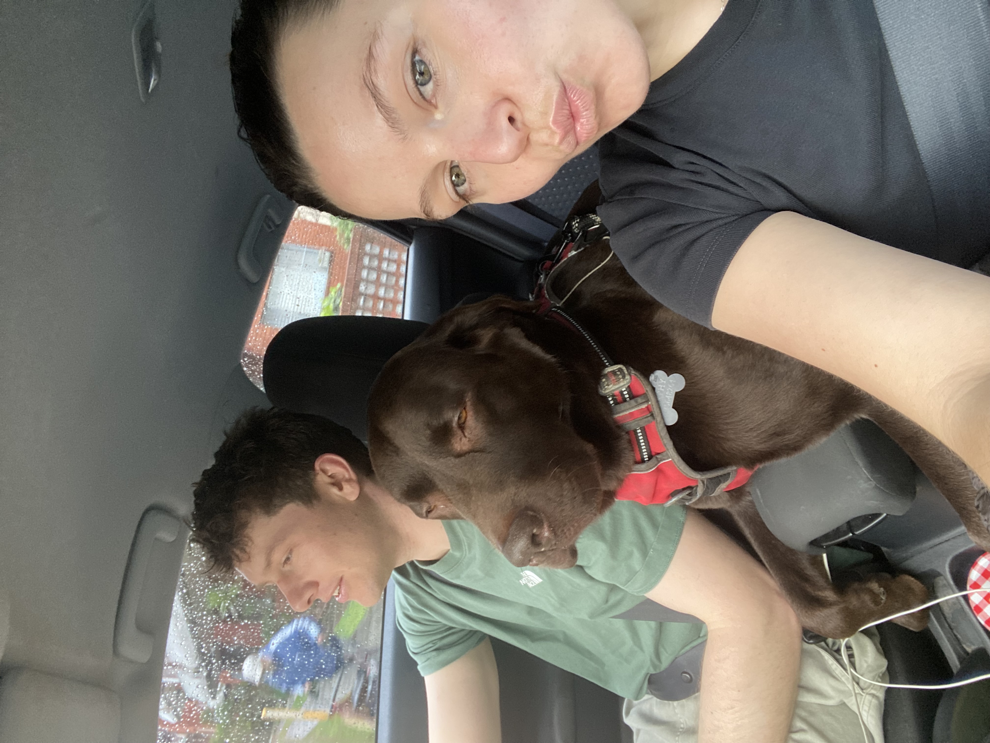 image-2