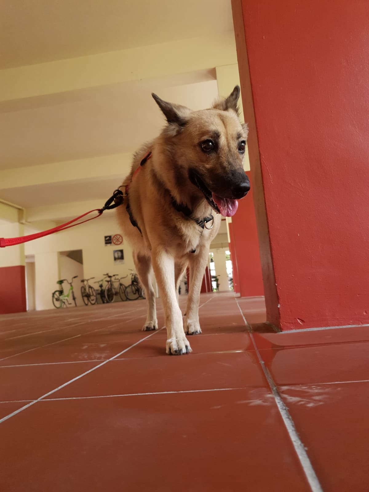 image-16