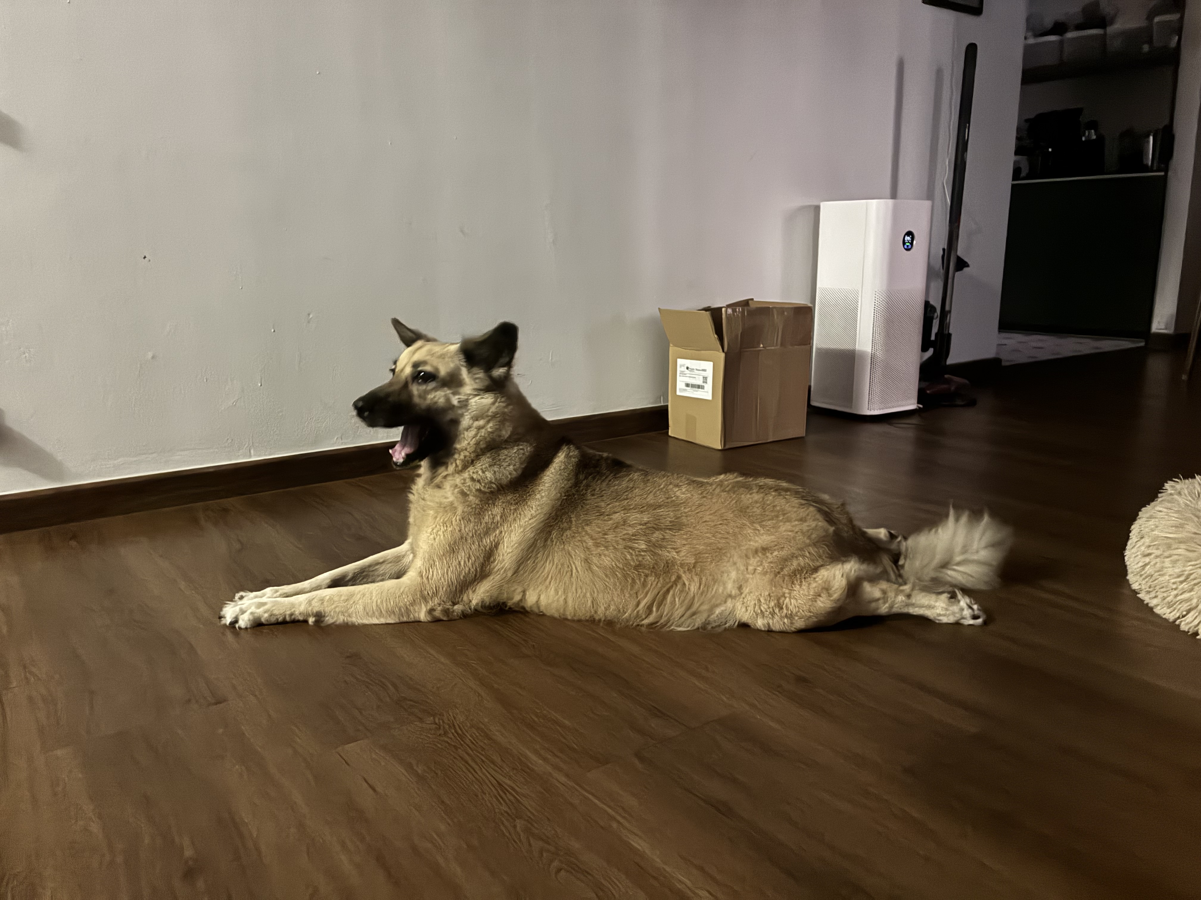 image-14