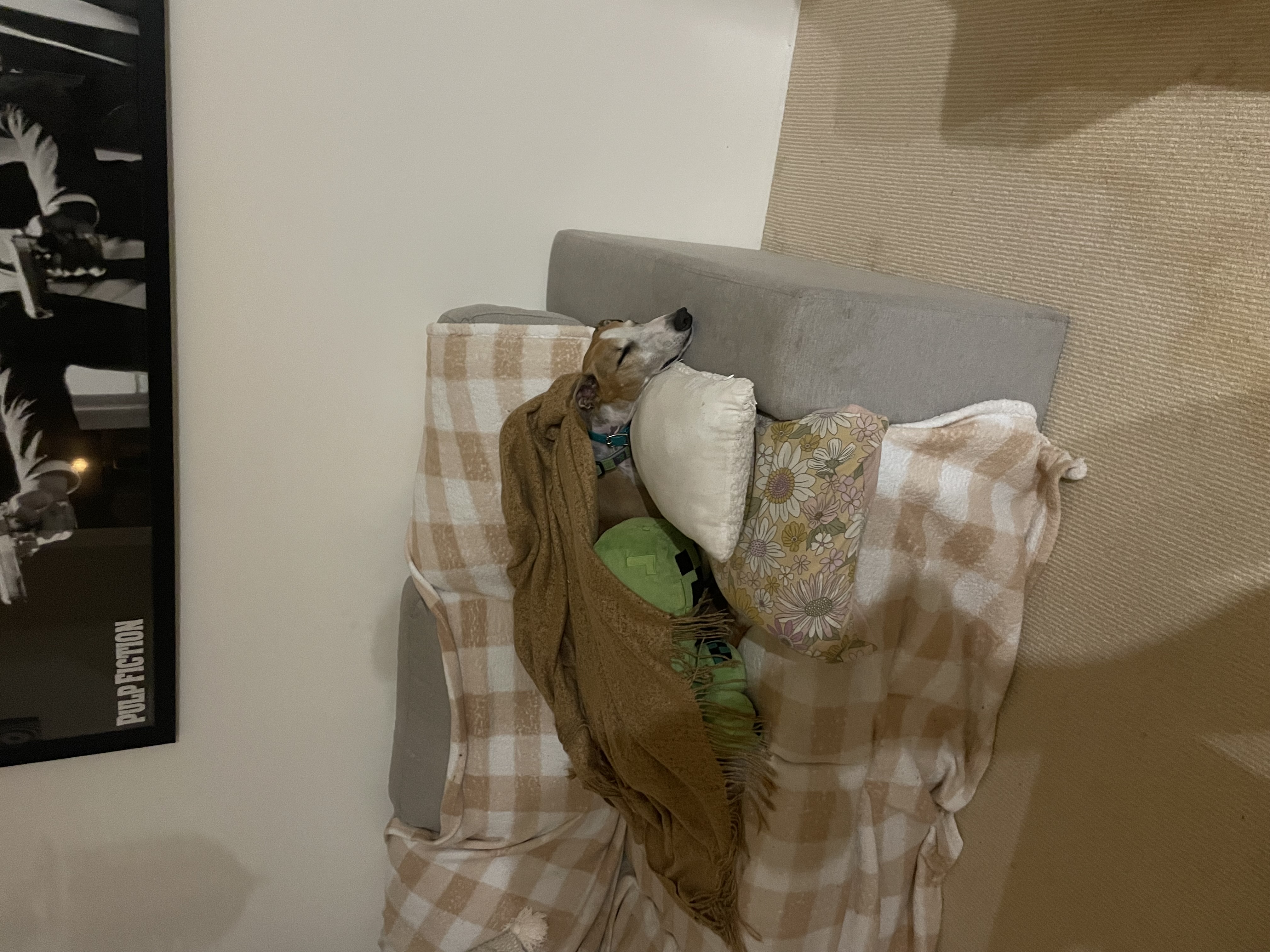 image-18