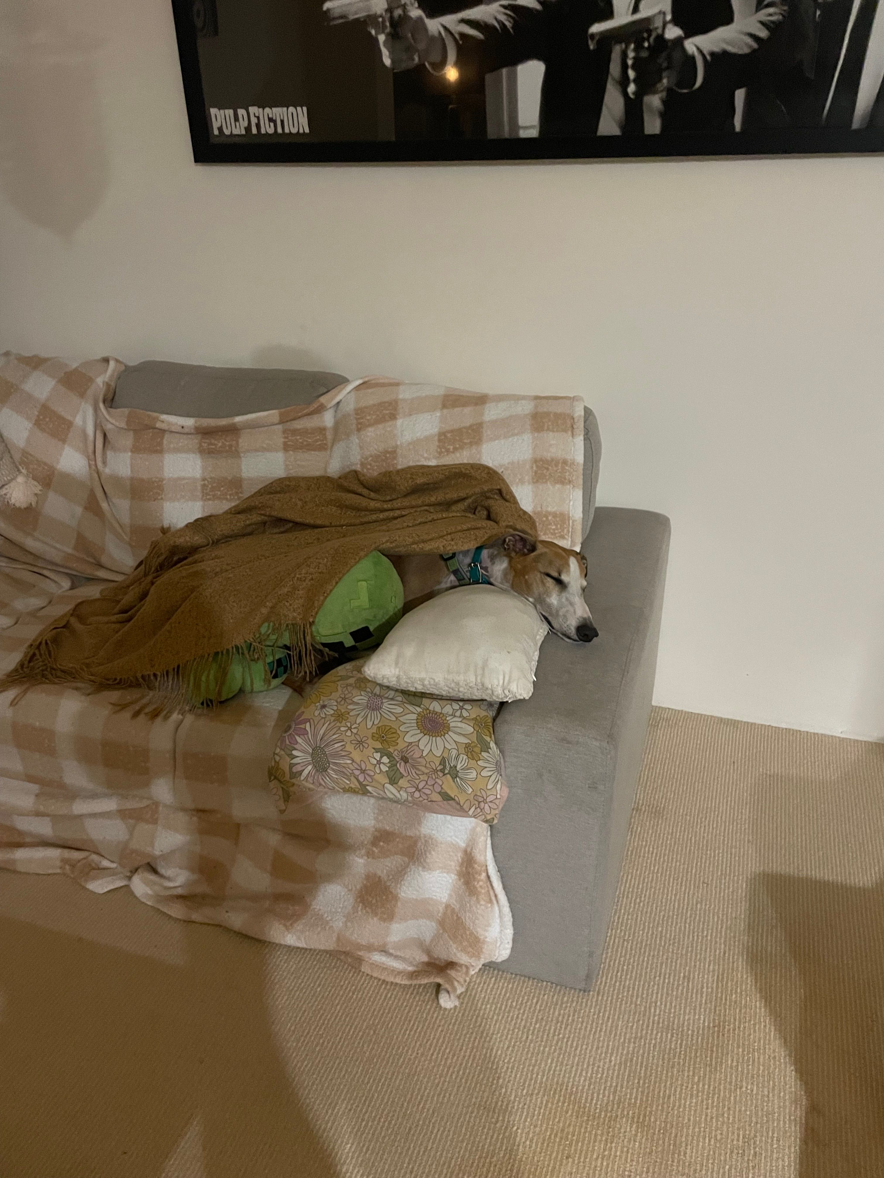 image-18