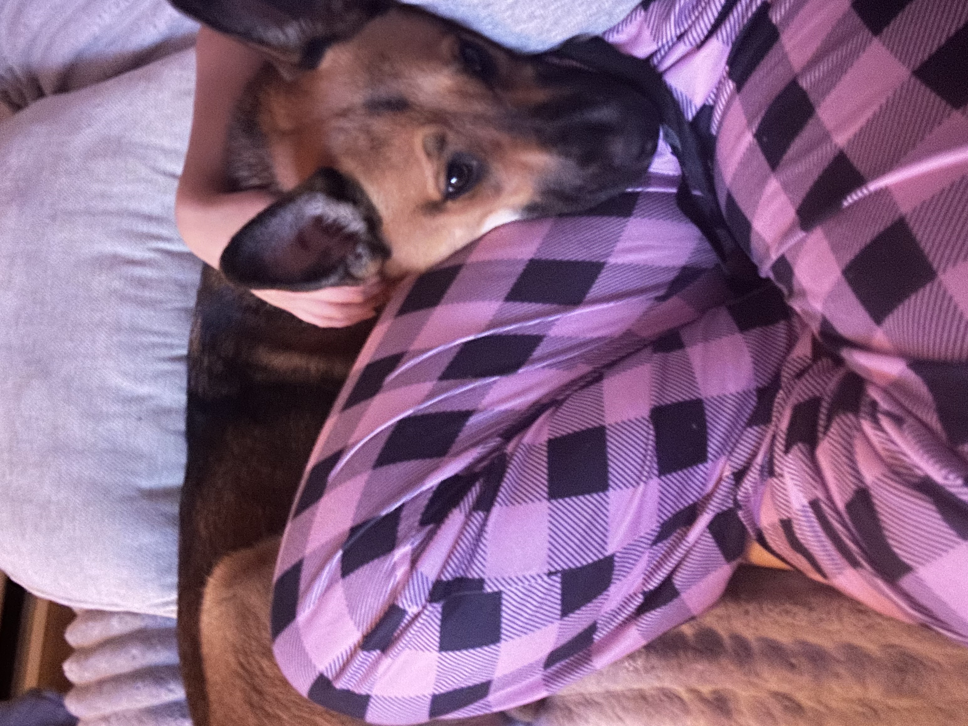 image-5