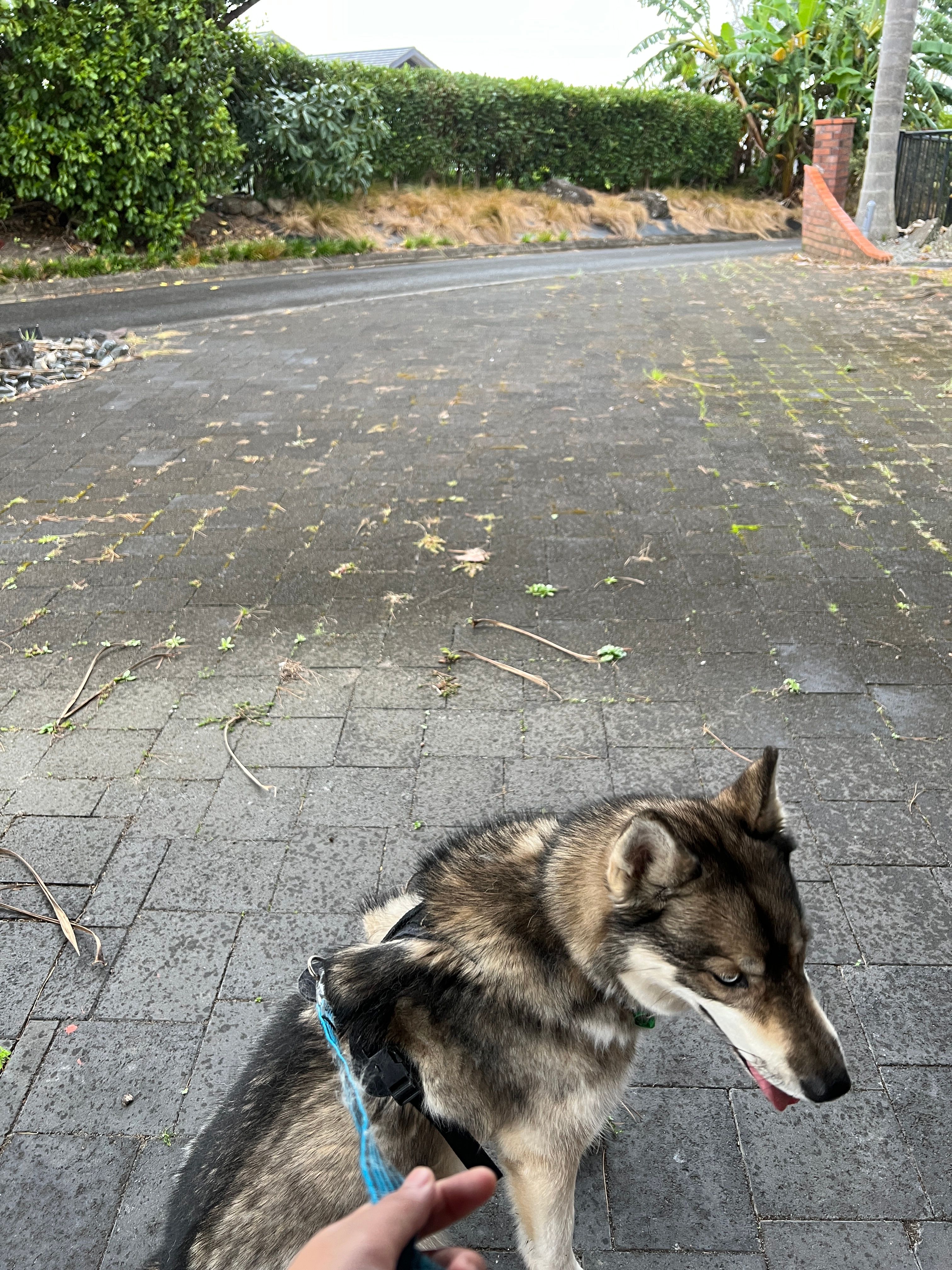 image-8