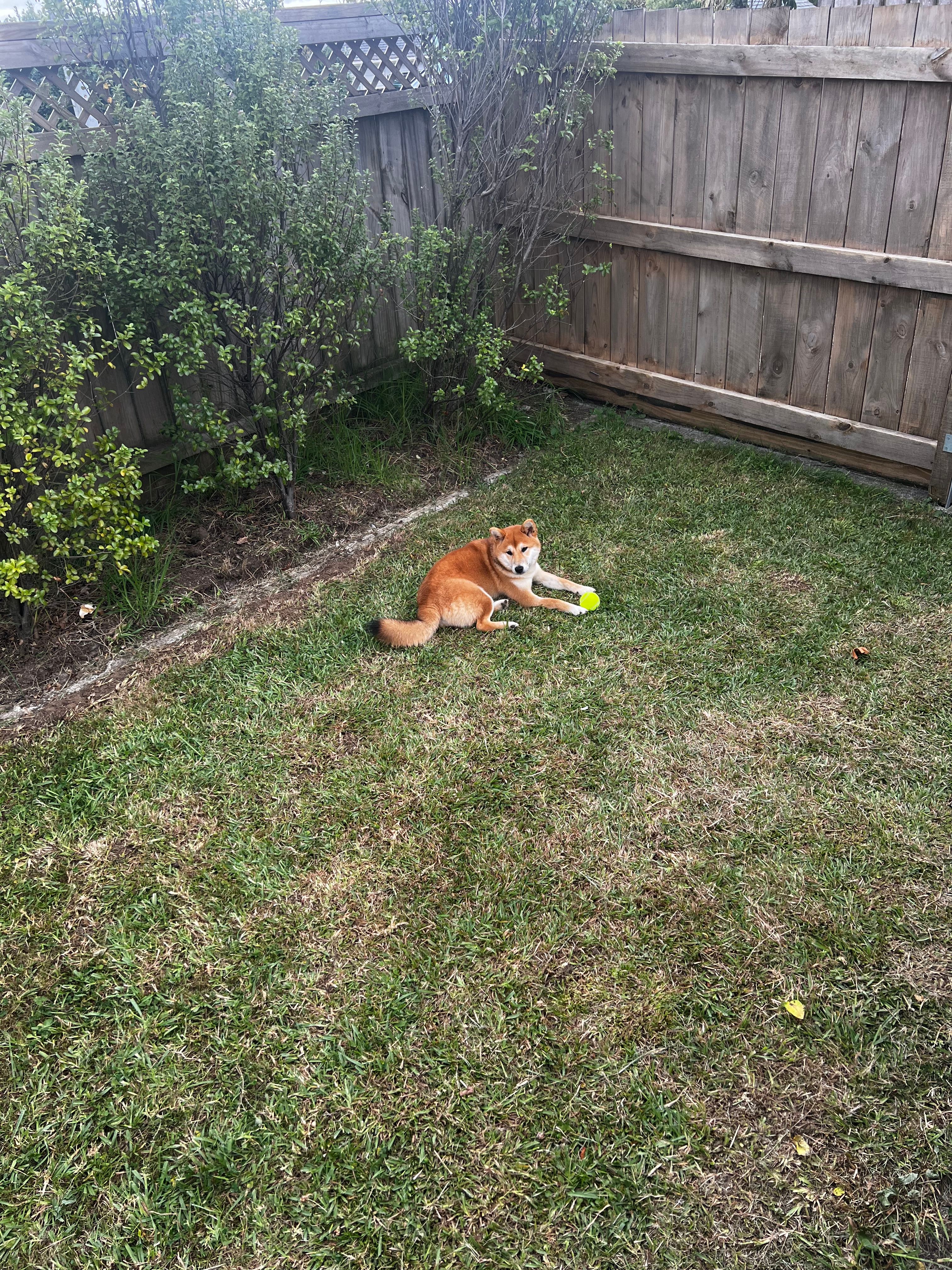 image-21