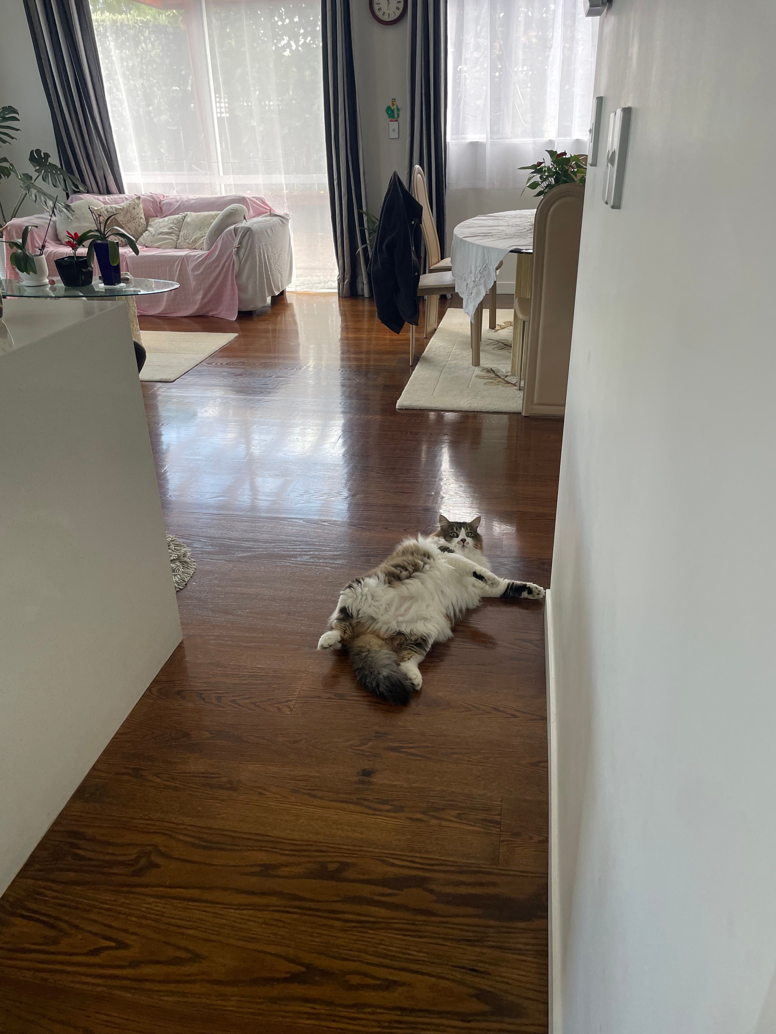 image-14