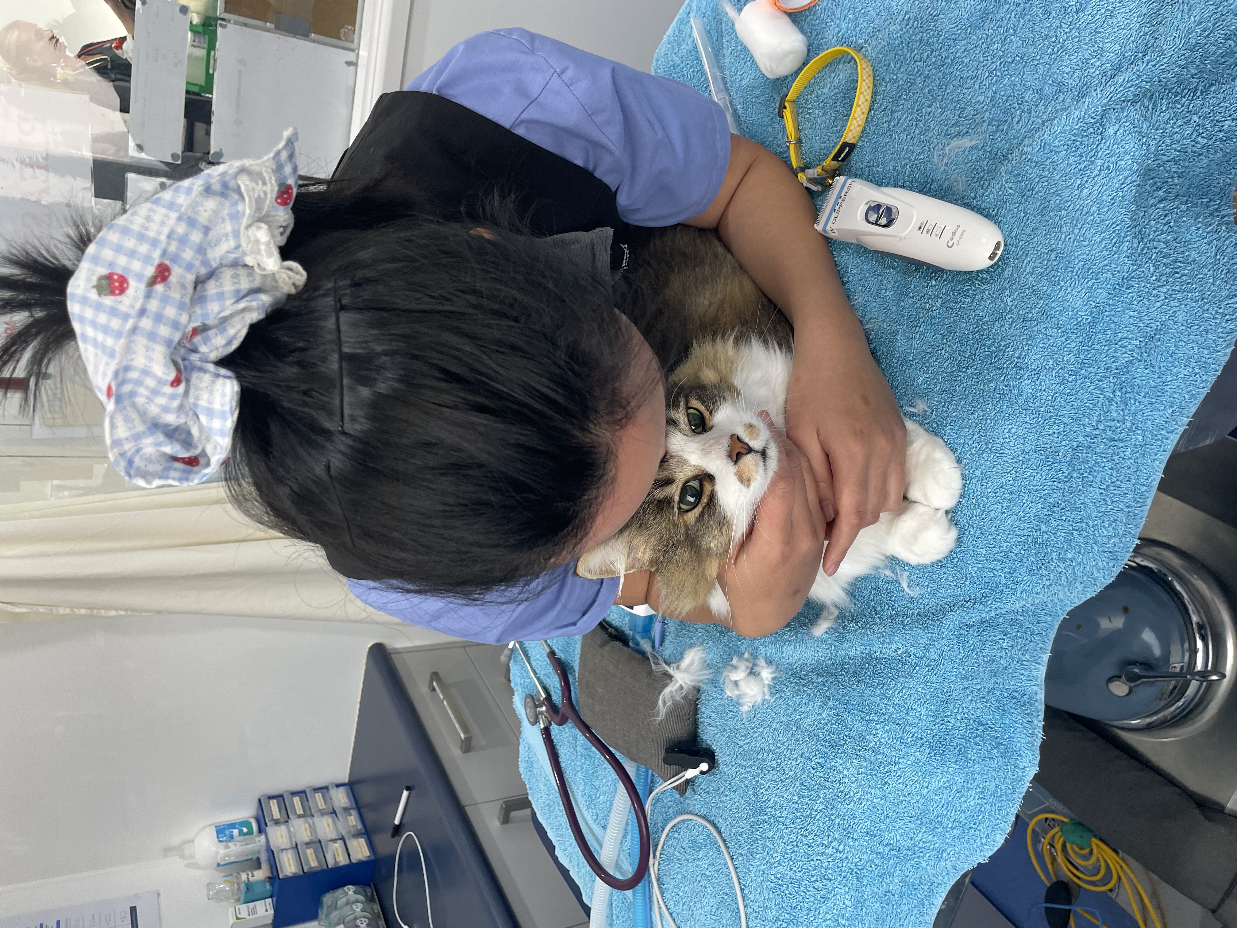 image-5