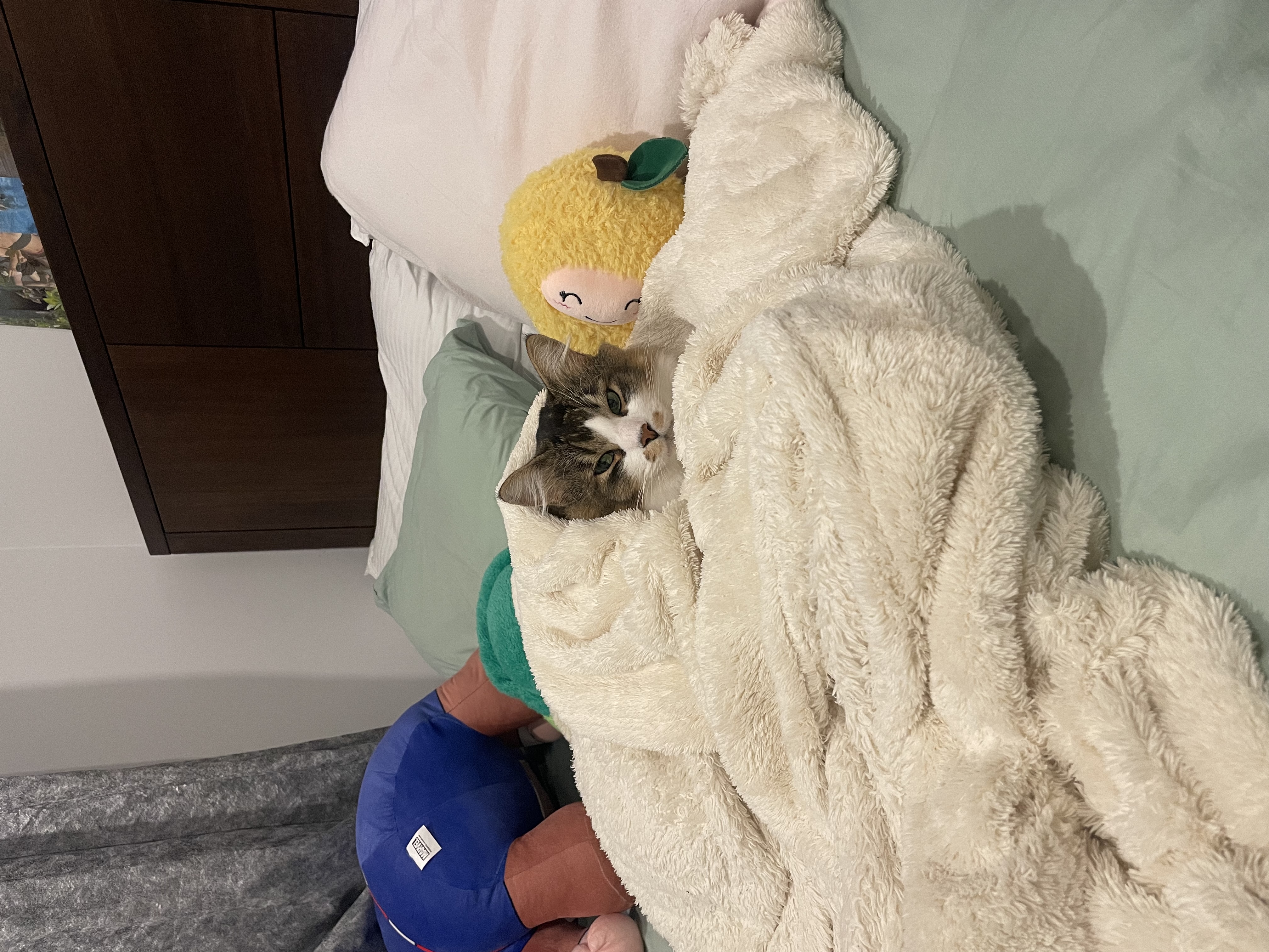 image-13