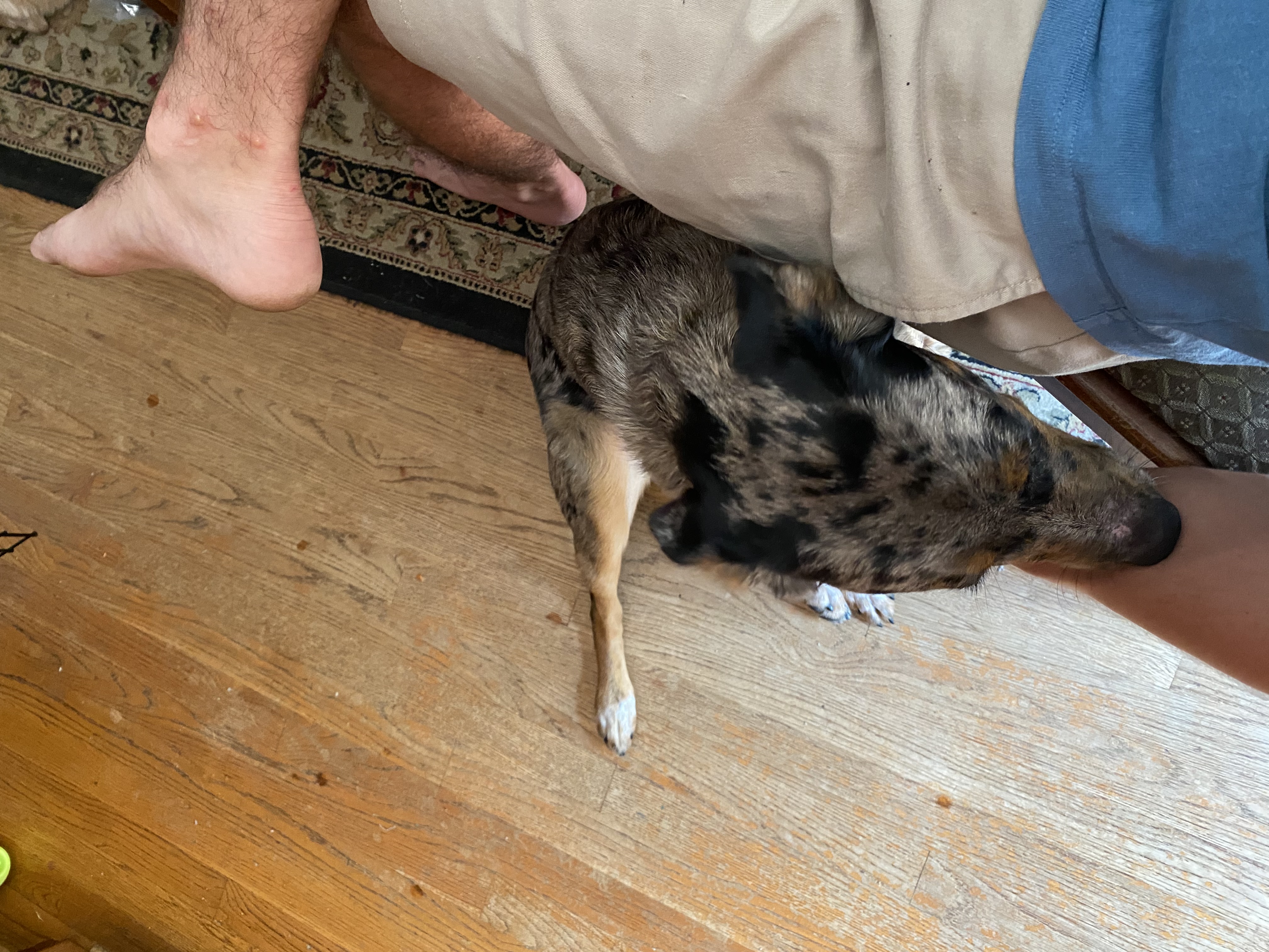 image-5