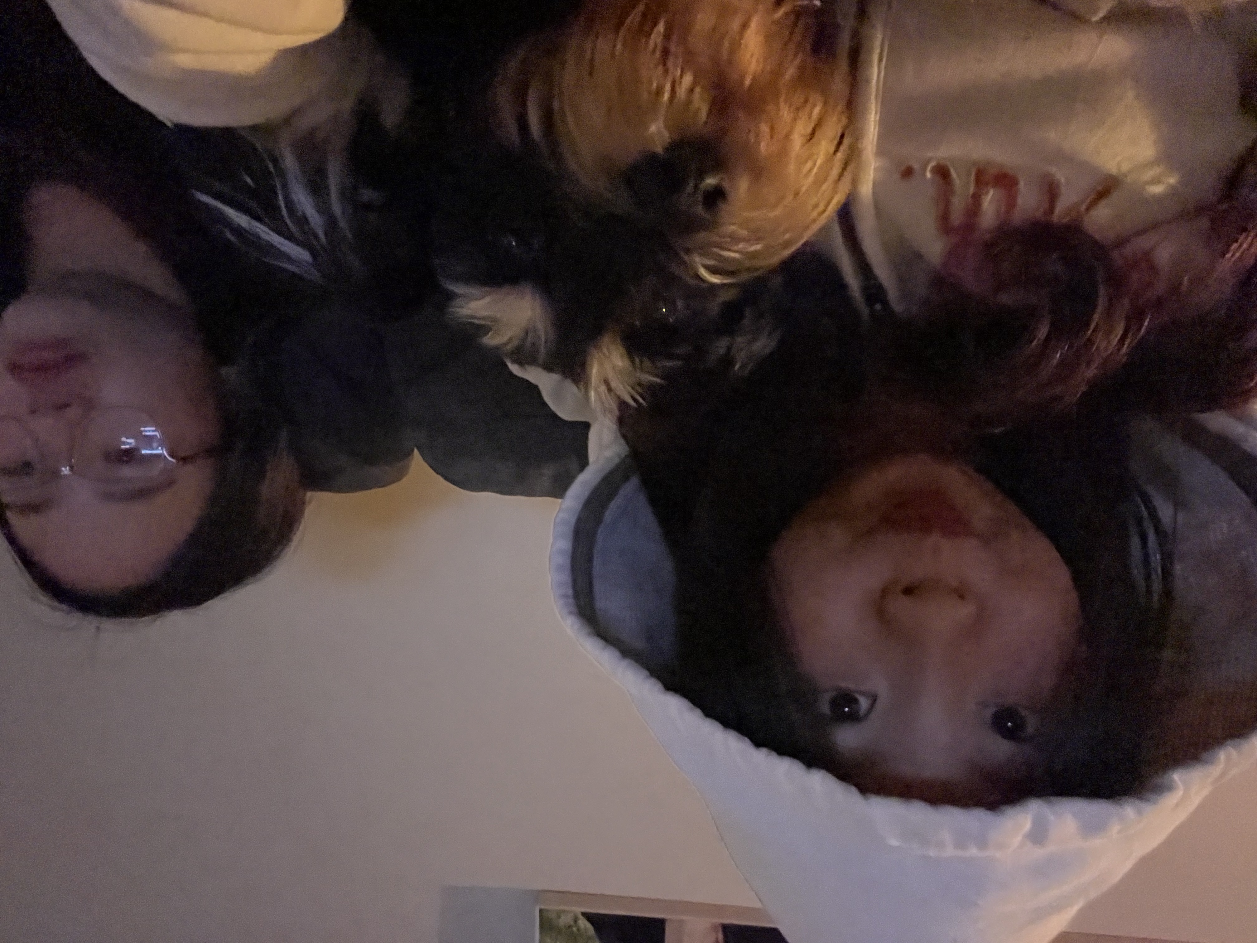 image-8
