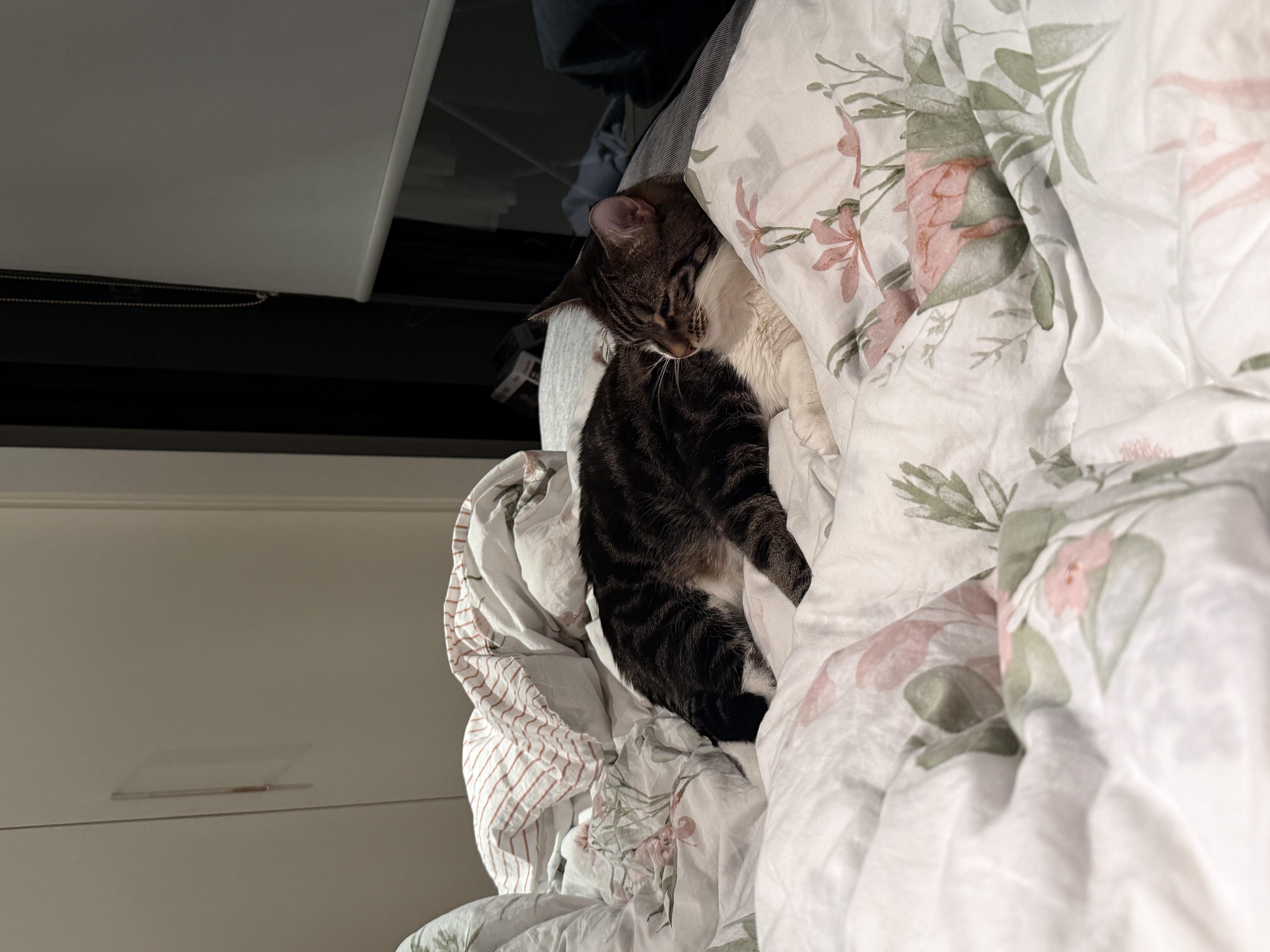 image-12