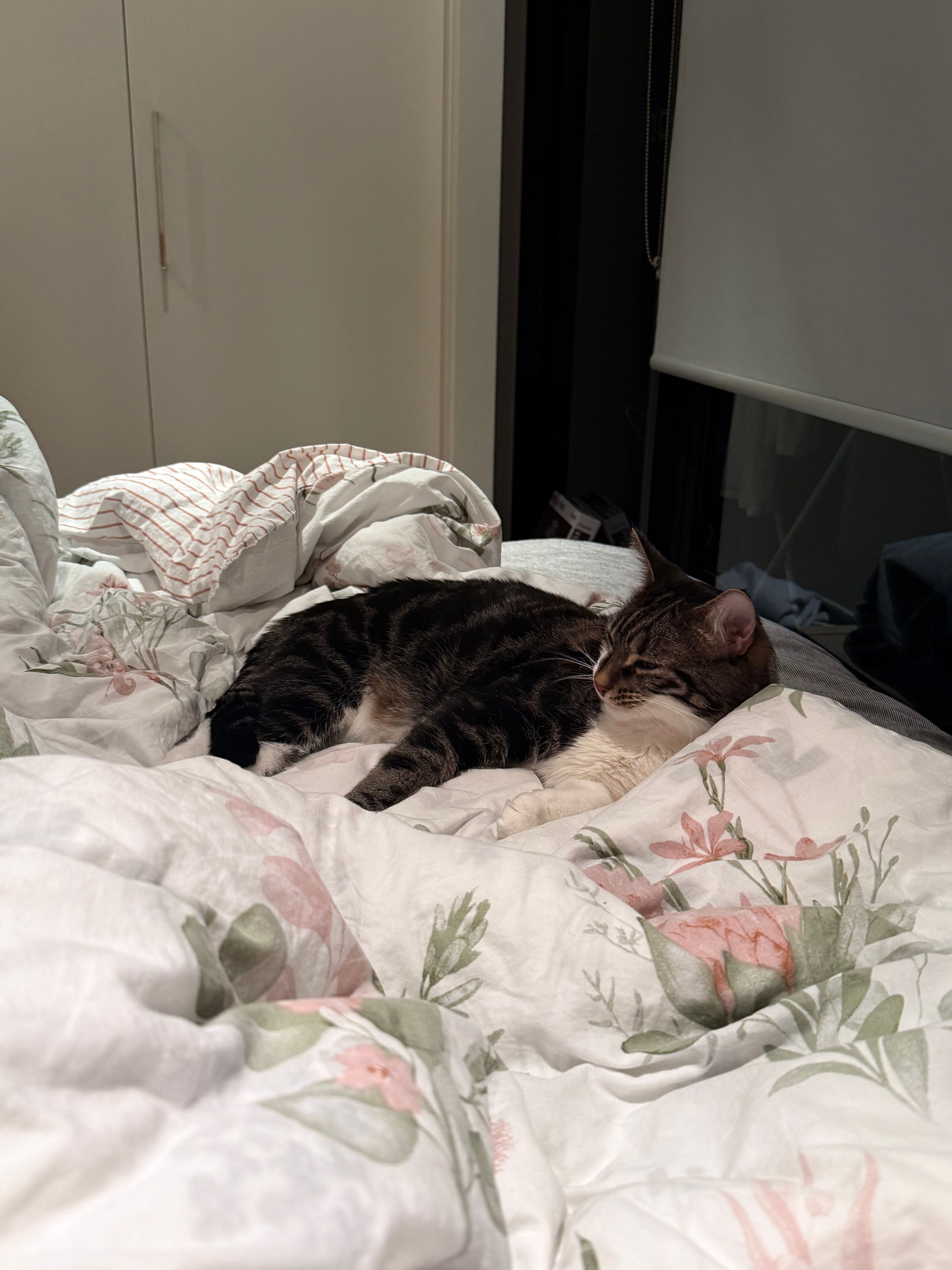 image-12