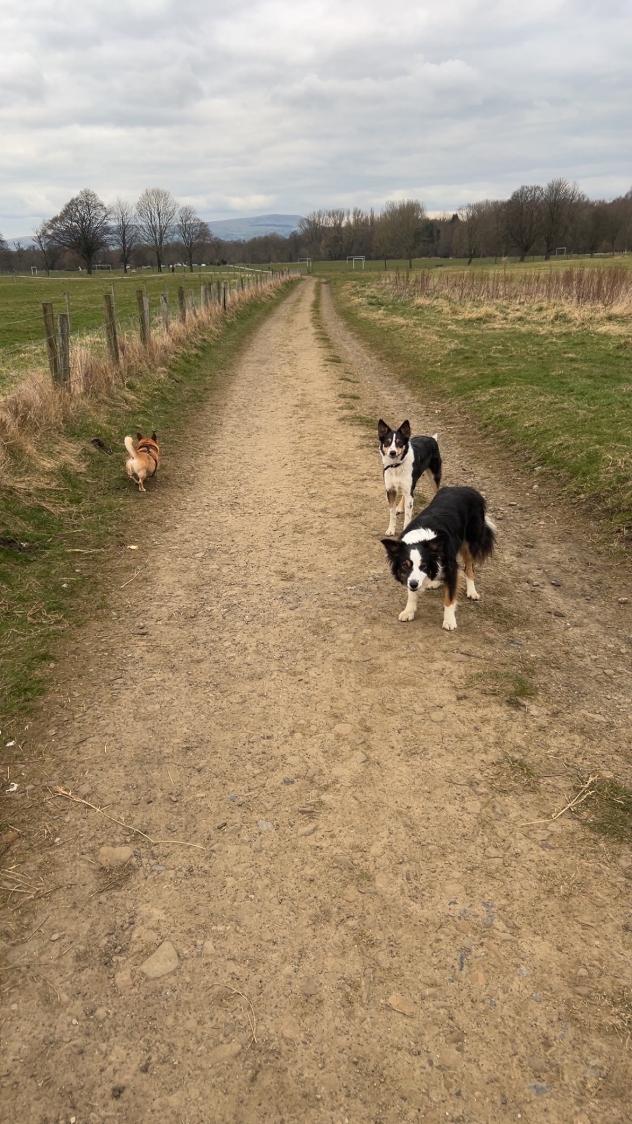 image-16