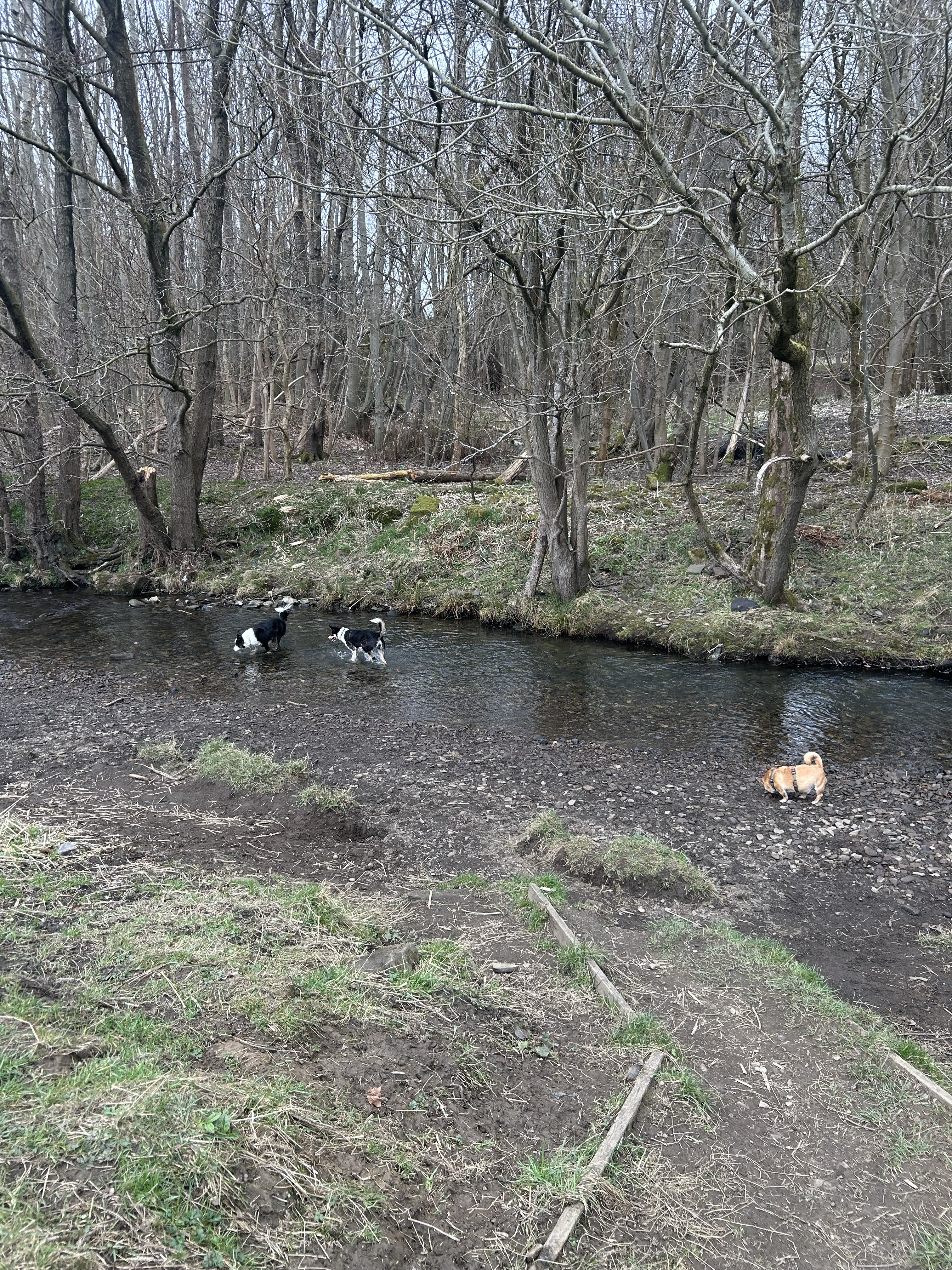 image-13