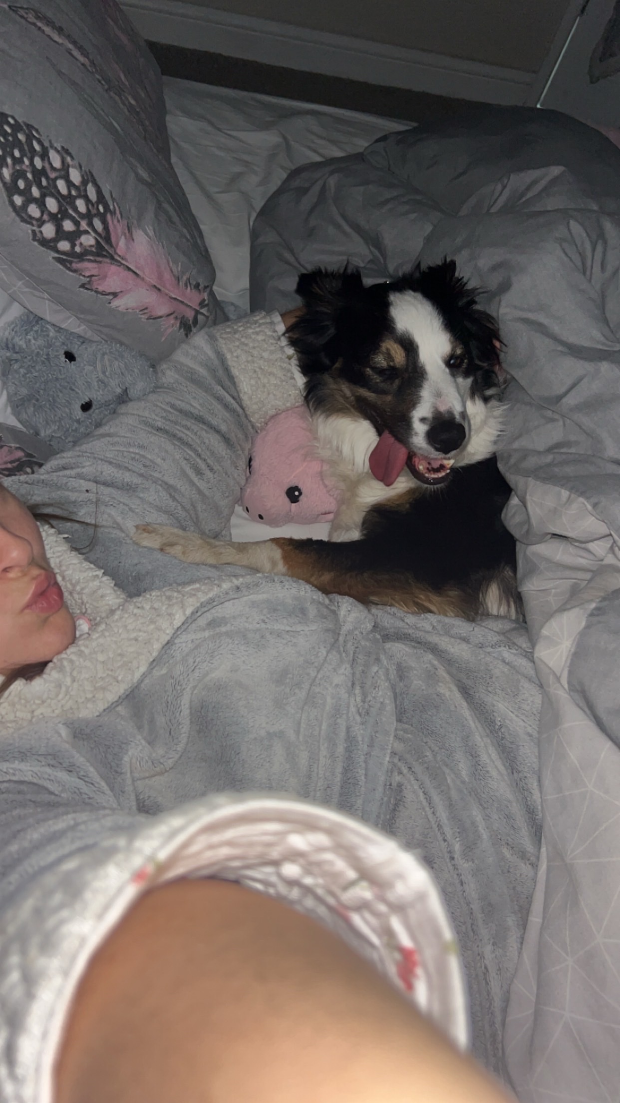 image-9