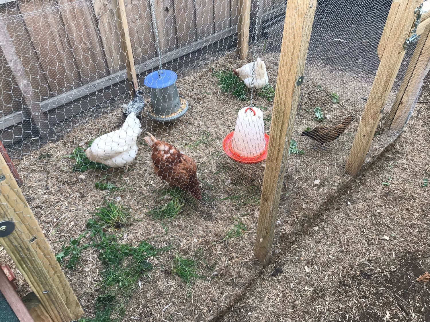 image-25