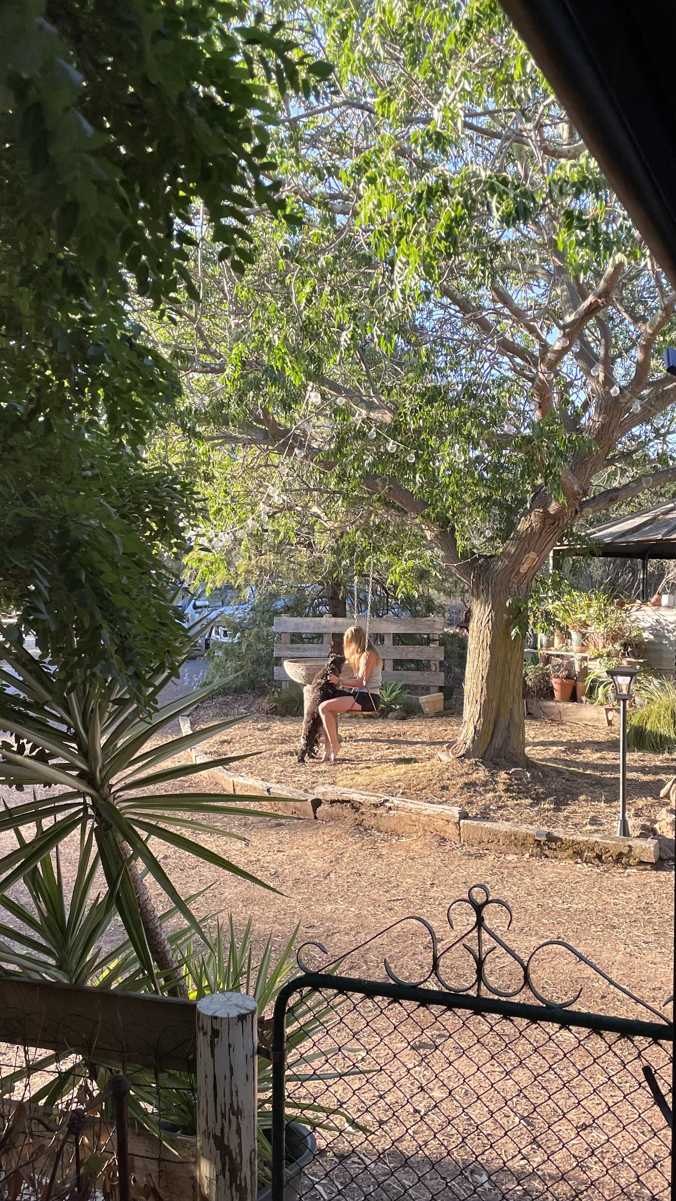 image-3