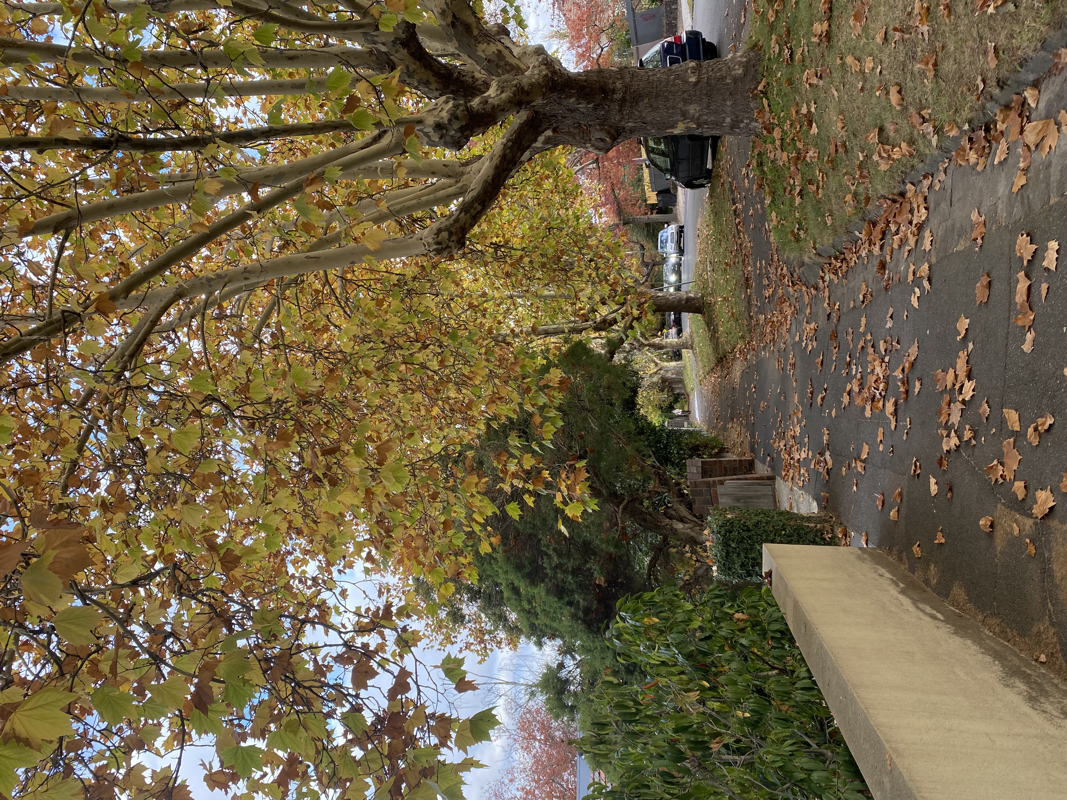 image-14