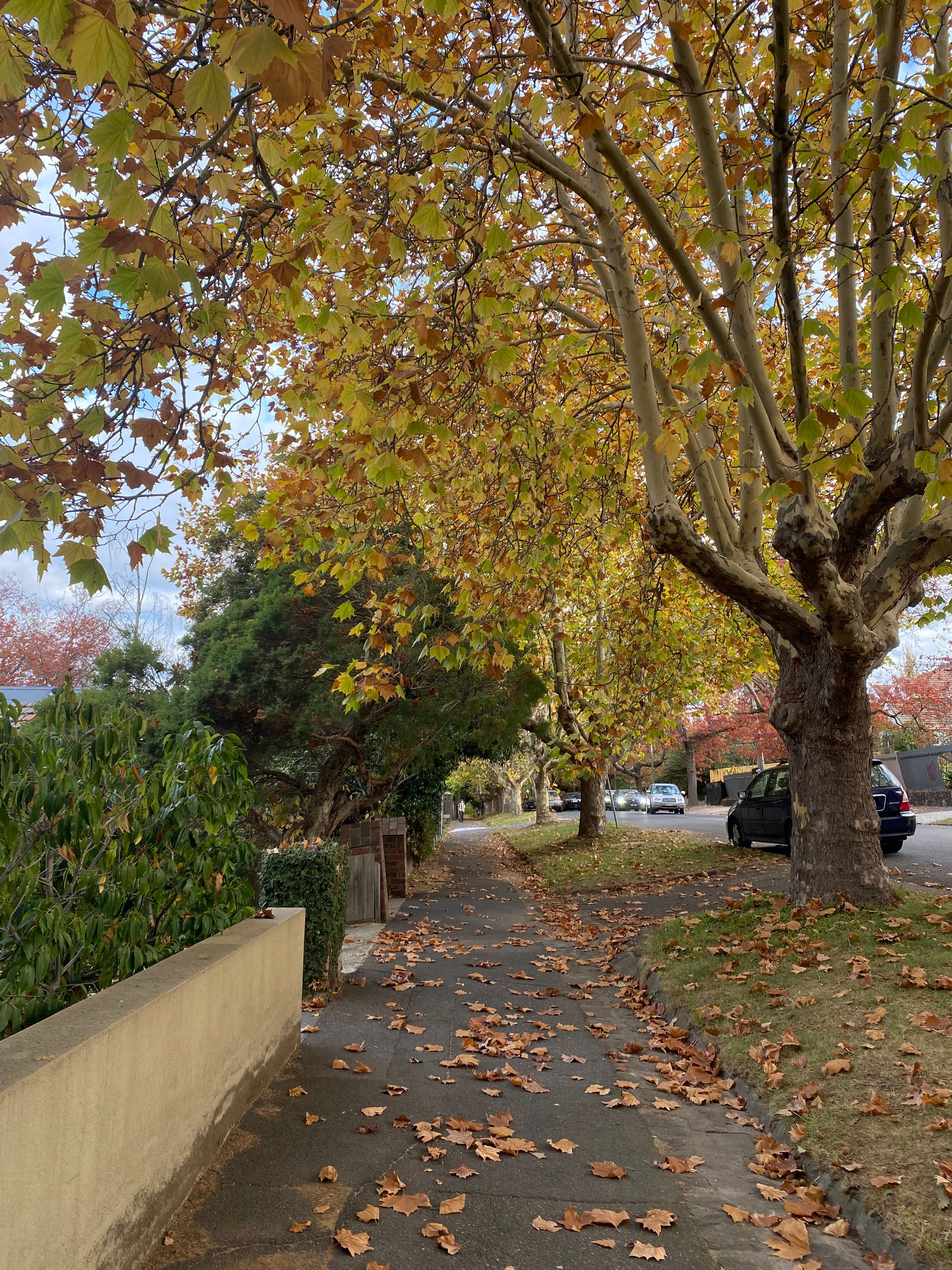 image-14