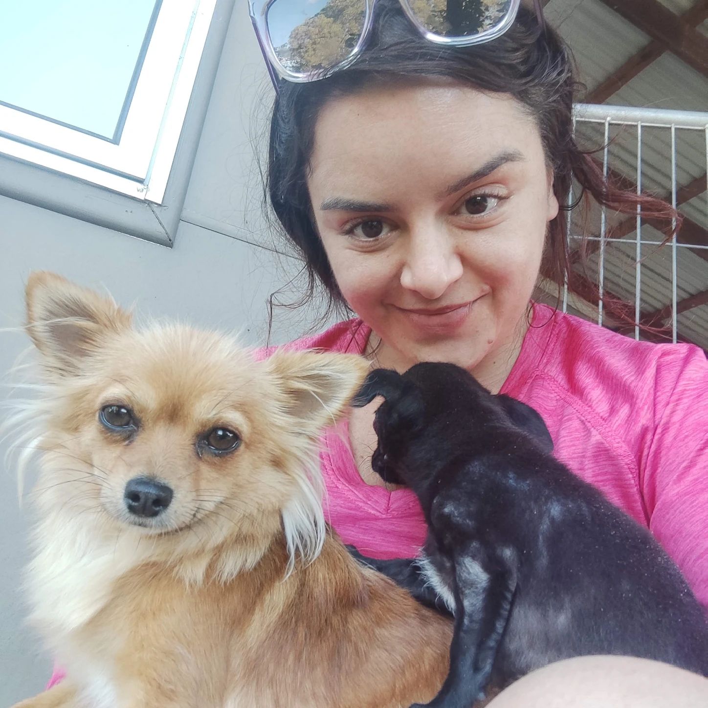 image-9