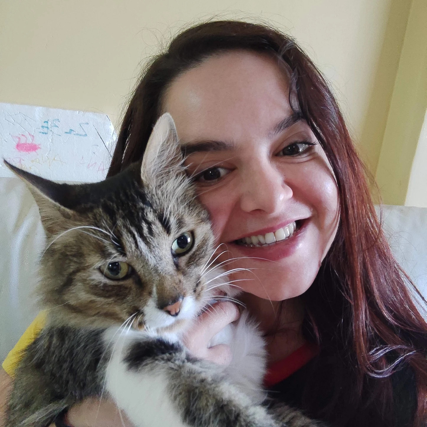image-7