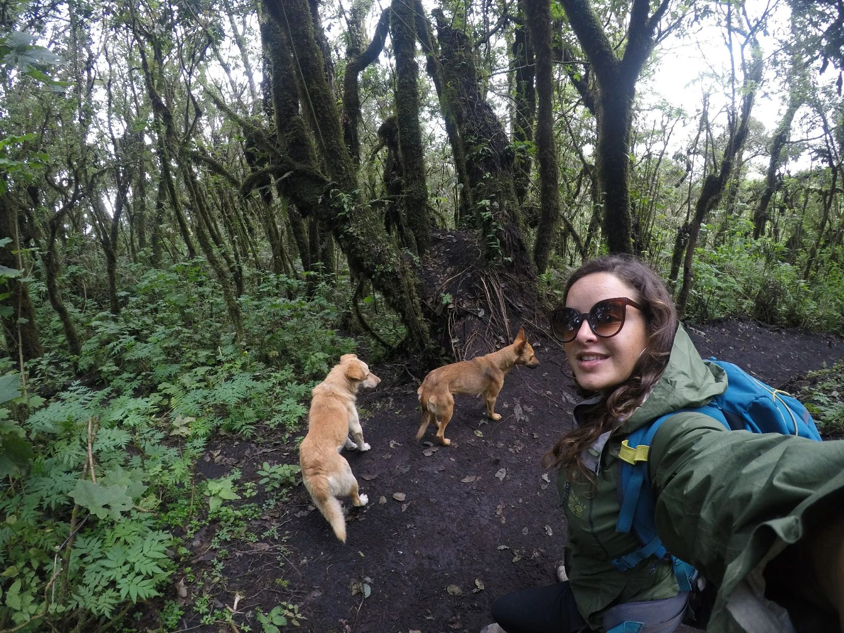 image-46