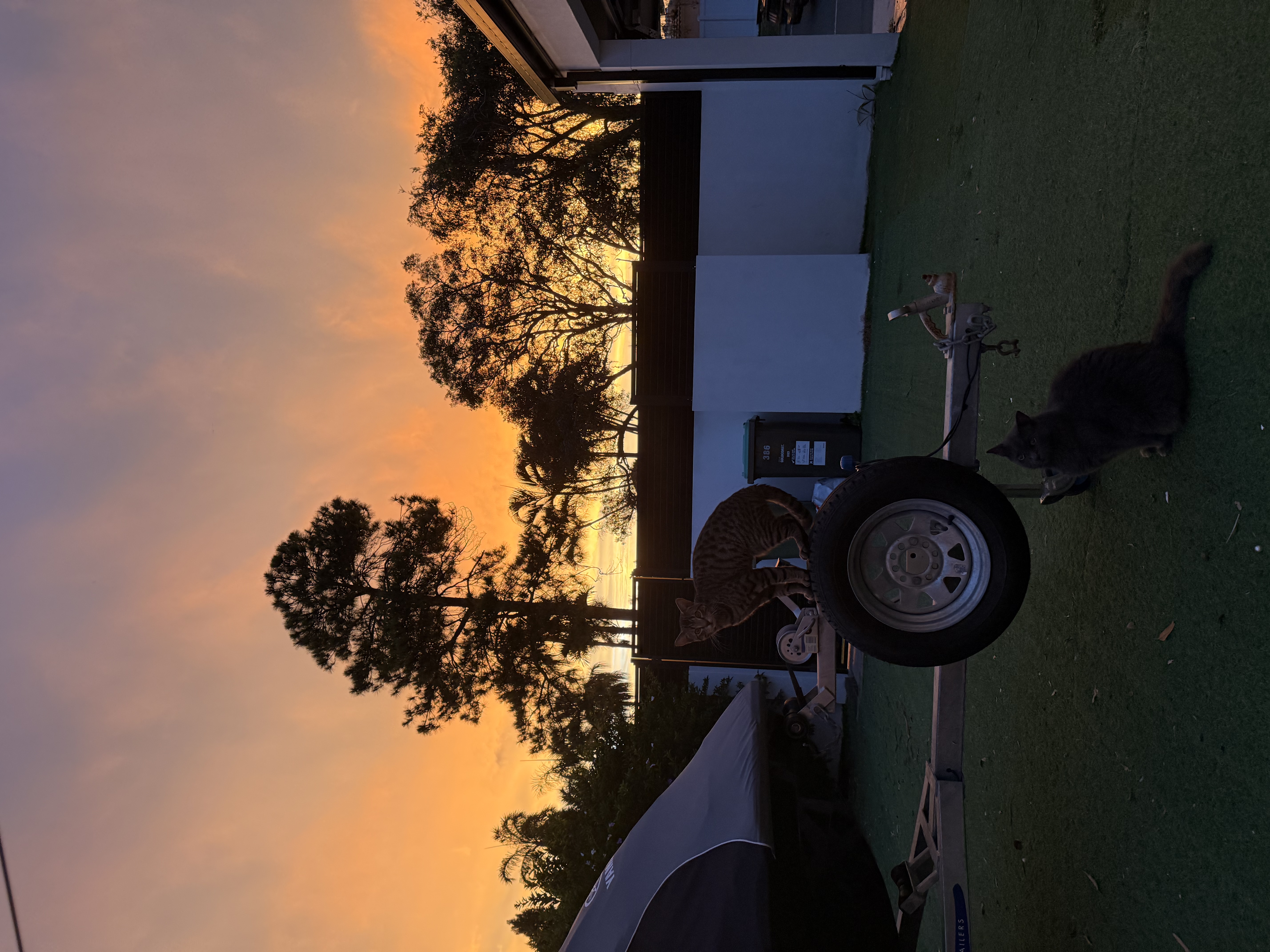 image-10