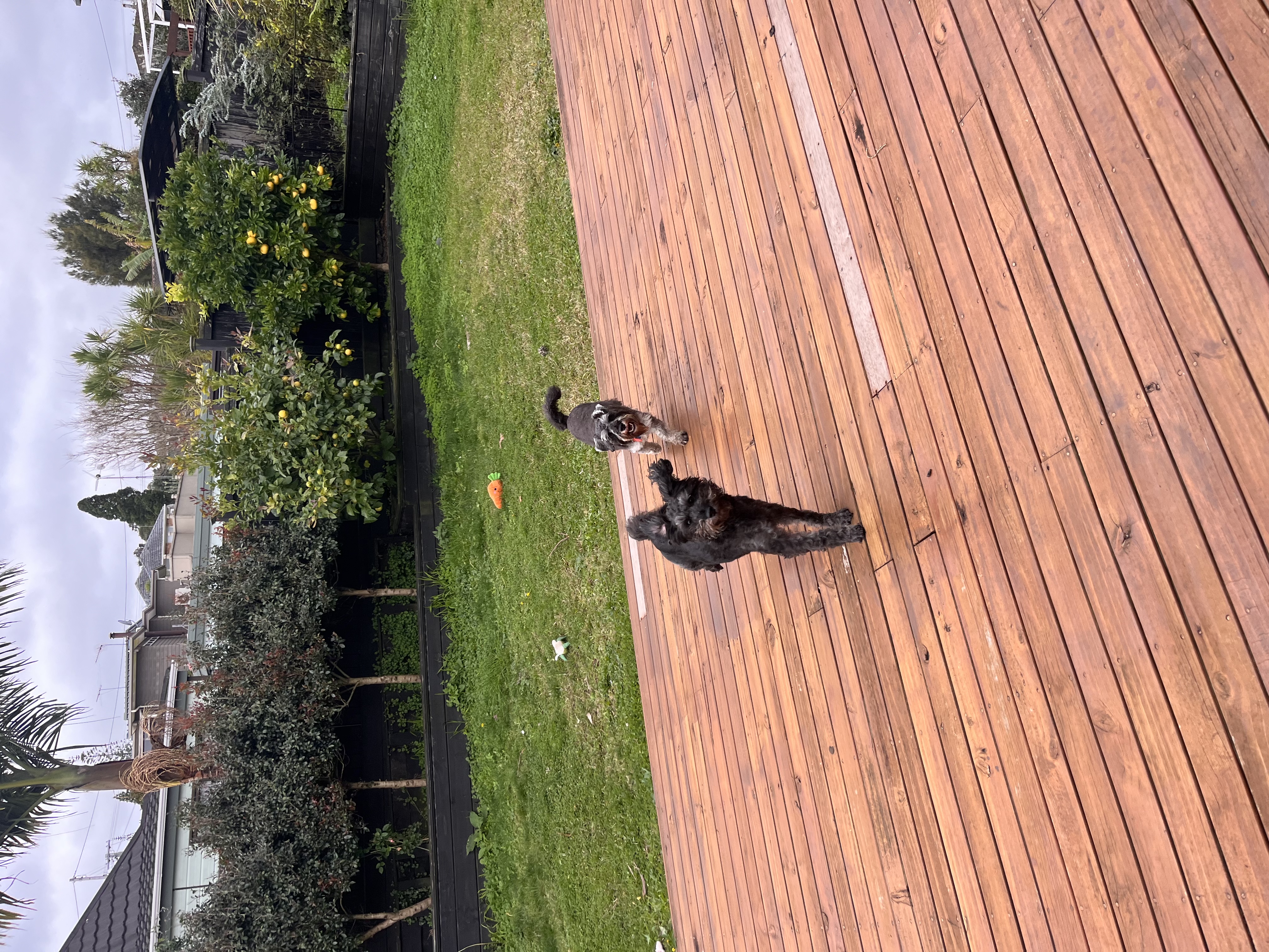 image-10
