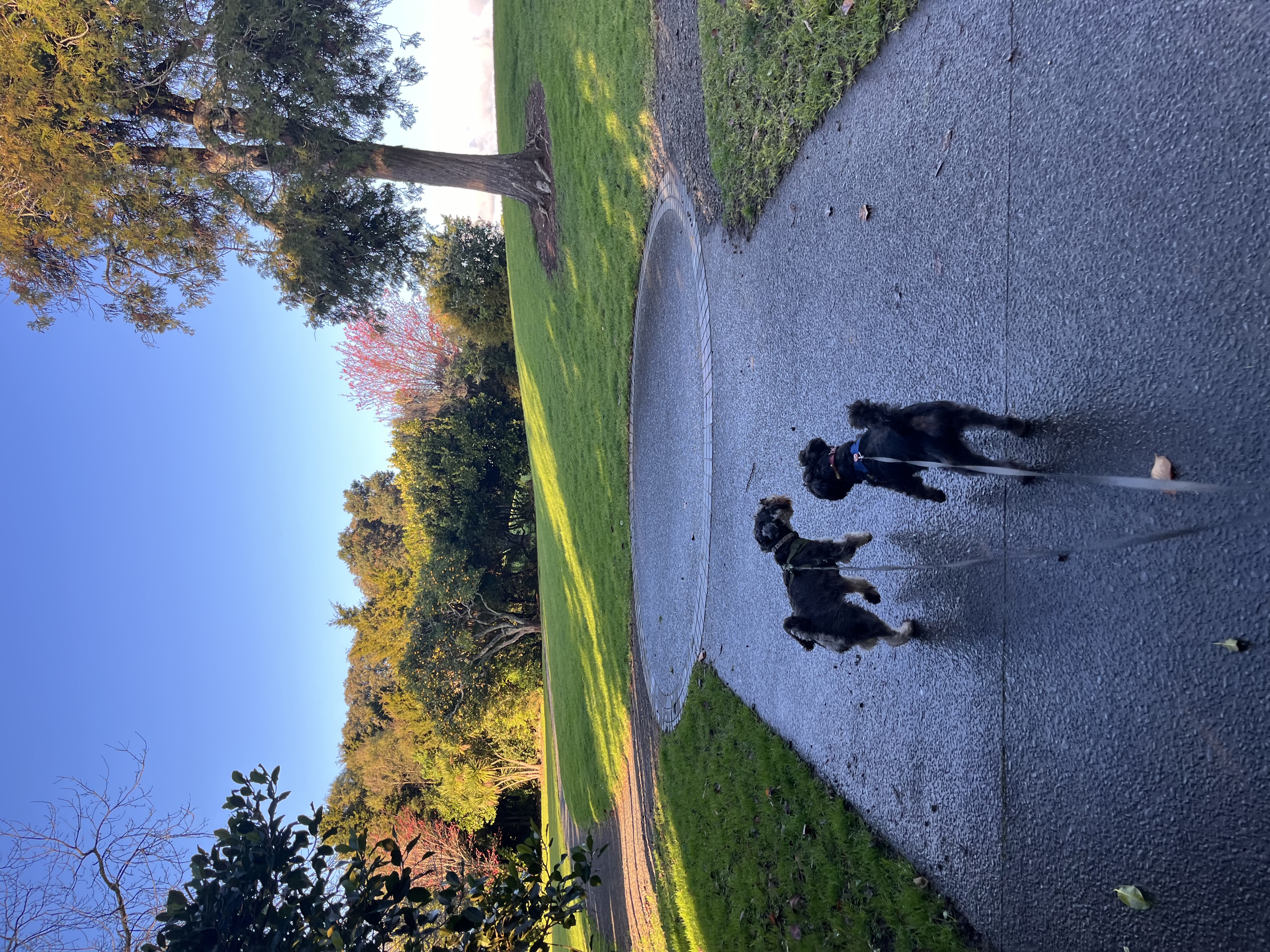 image-18