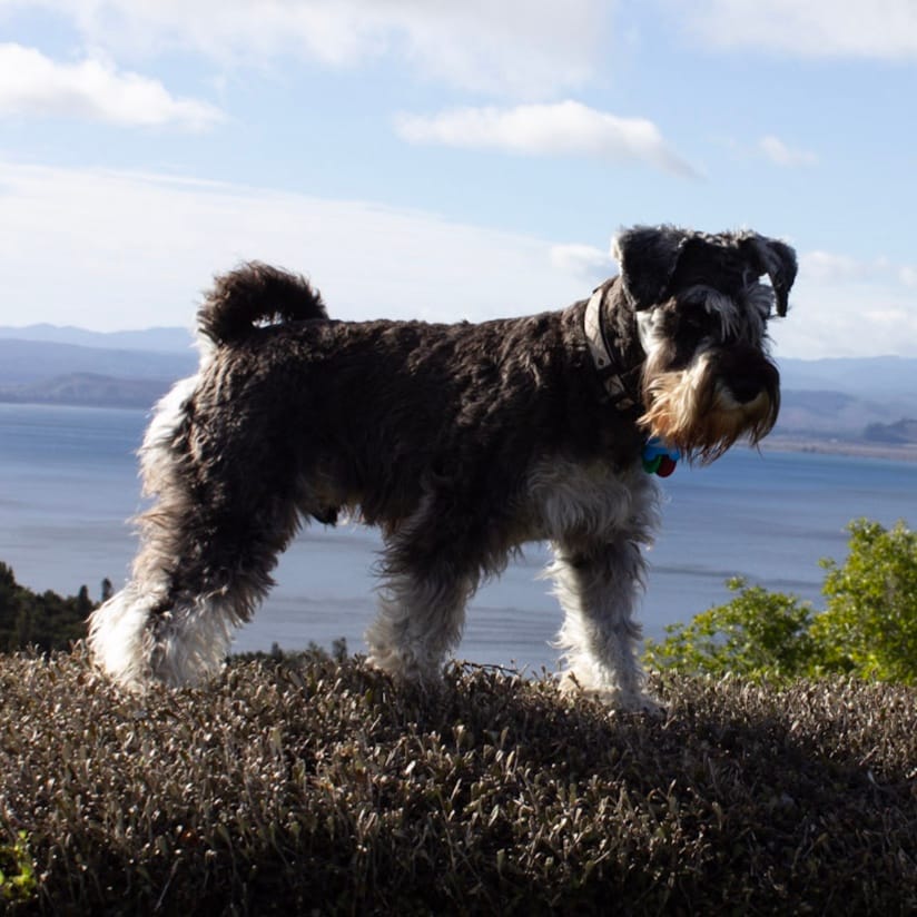 Lucky