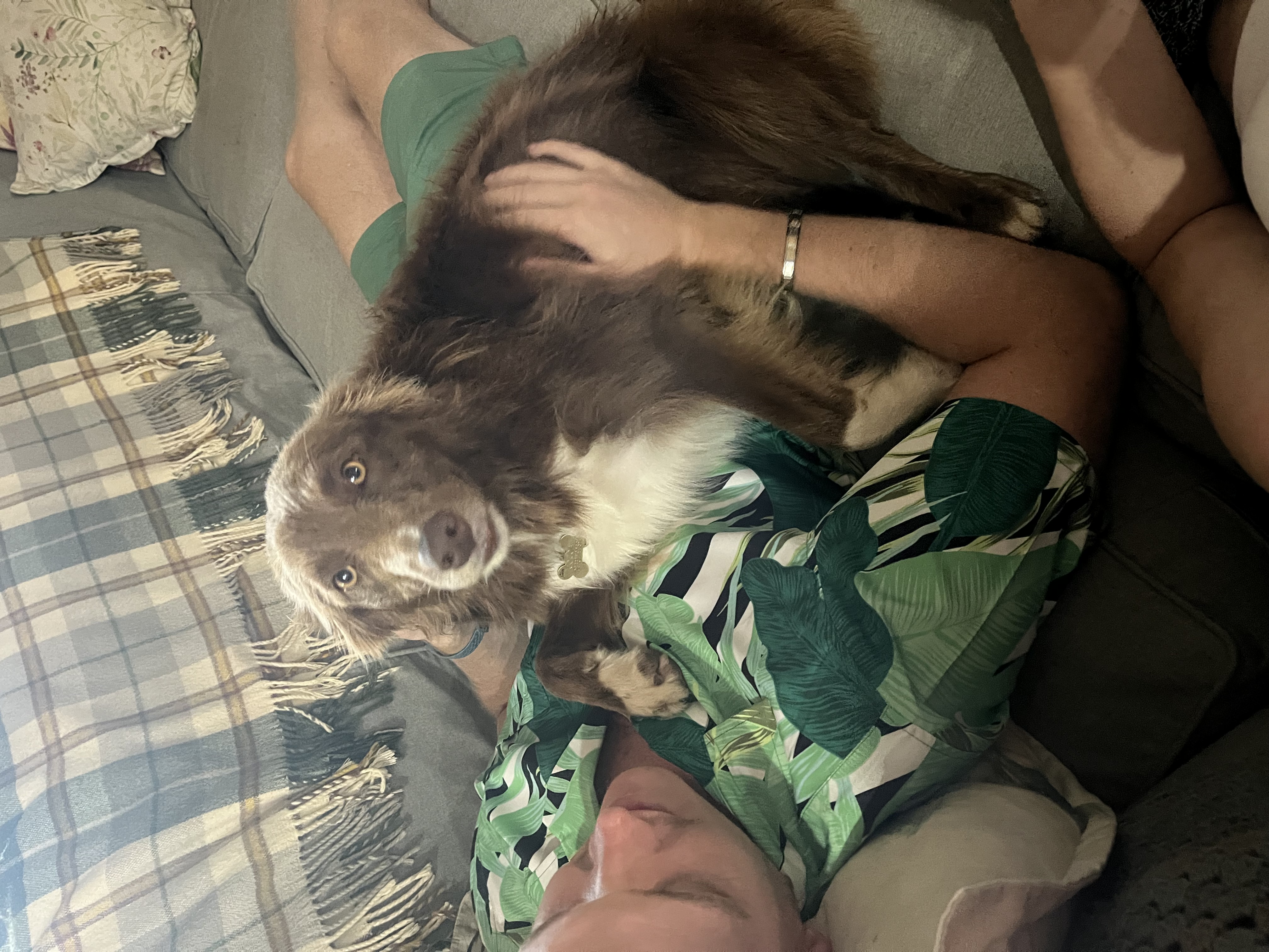 image-12